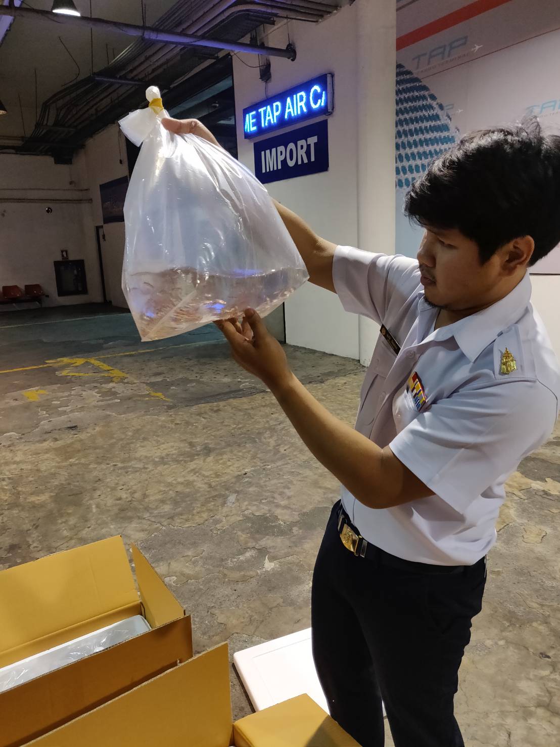 ด่านตรวจสัตว์นำ้ท่าอากาศยานดอนเมือง ตรวจสอบสินค้าสัตว์นำ้ส่งออก..คลิก