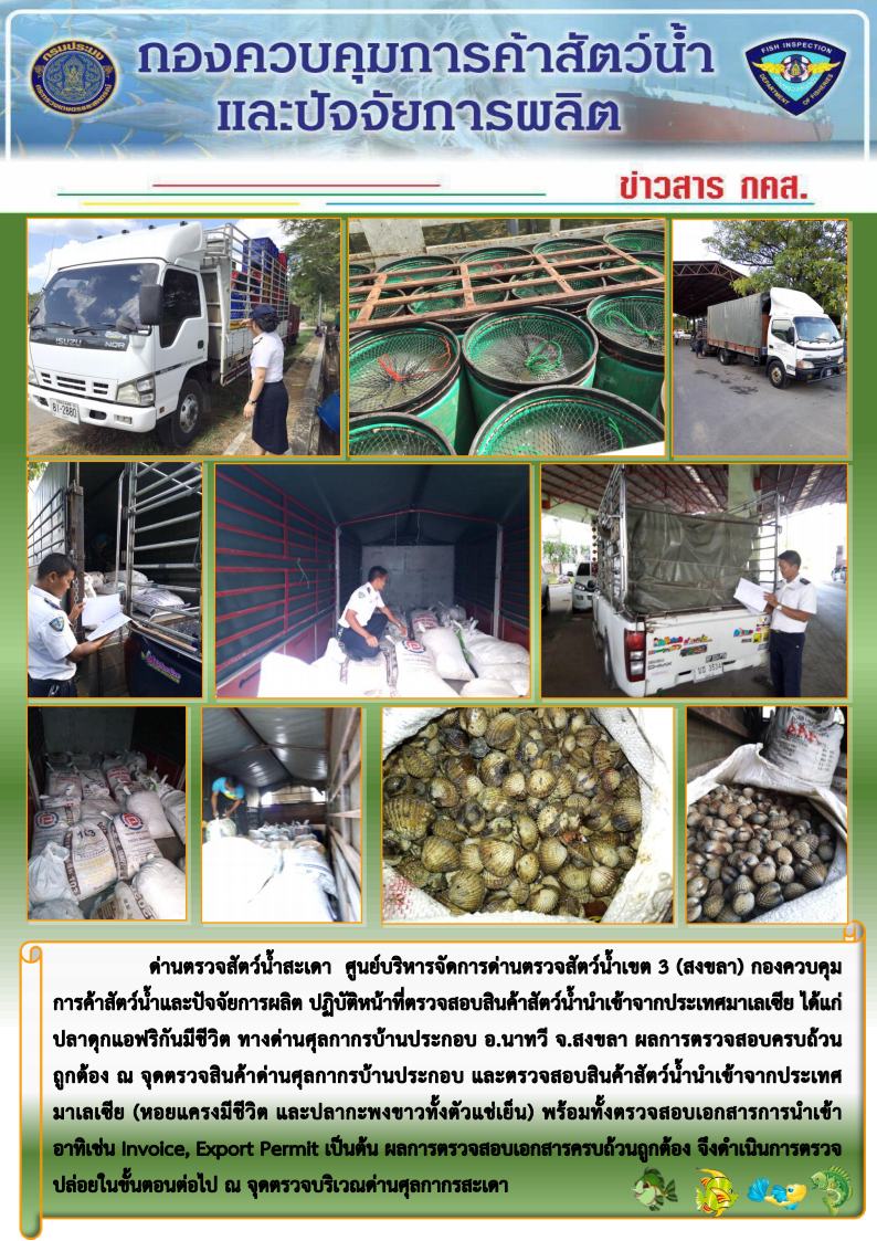 ข่าวสาร กคส. ประจำวันพุธที่ 20 กุมภาพันธ์ 2562..คลิก