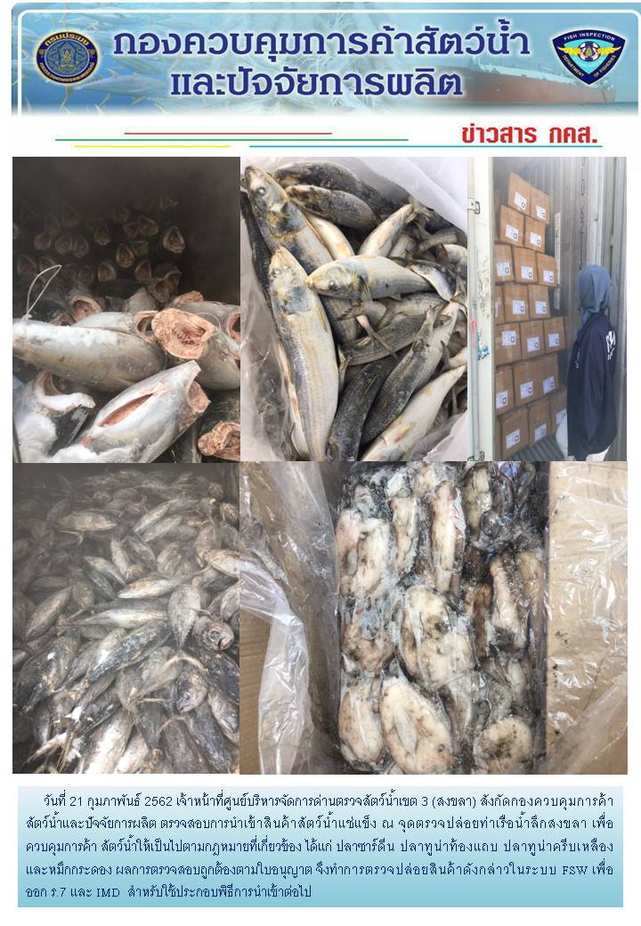 เจ้าหน้าที่ศูนย์บริหารจัดการด่านตรวจสัตว์น้ำเขต 3 (สงขลา) สังกัดกองควบคุมการค้าสัตว์น้ำและปัจจัยการผลิต ตรวจสอบการนำเข้าสินค้าสัตว์น้ำประเภทตู้คอนเทนเนอร์ ณ จุดตรวจปล่อยท่าเรือน้ำลึกสงขลา..คลิก