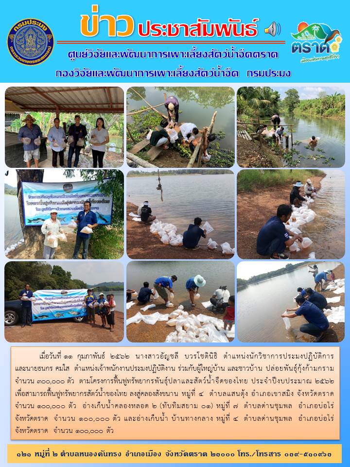 ข่าวประชาสัมพันธ์ เดือน กุมภาพันธ์ 2562 (รอบที่ 1)..คลิก