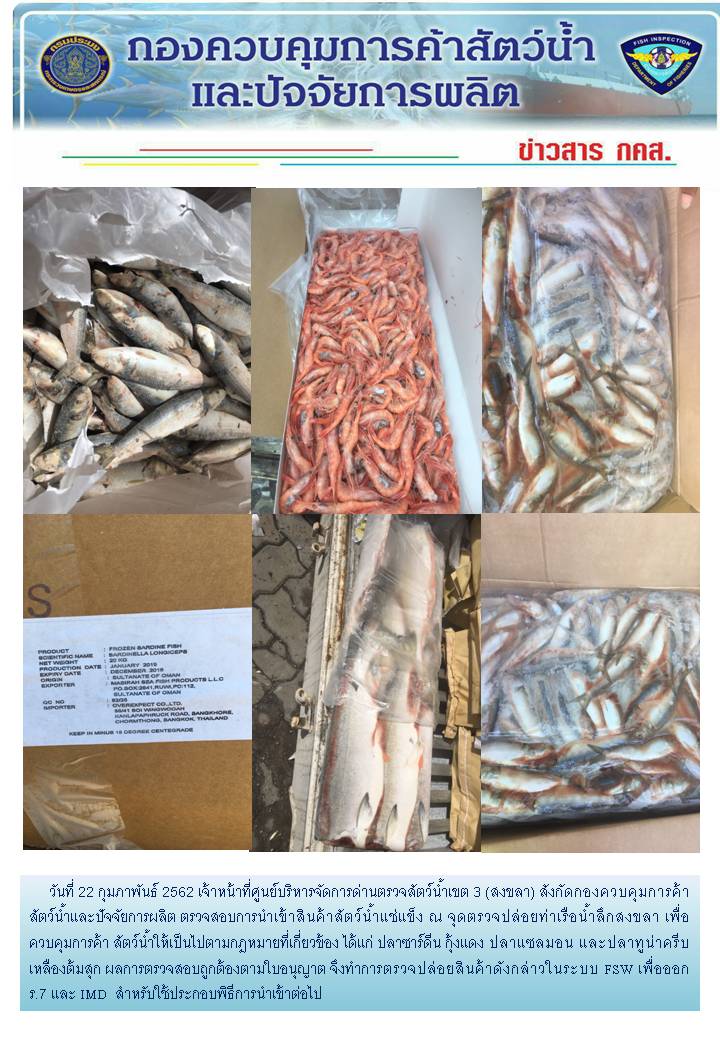 เจ้าหน้าที่ศูนย์บริหารจัดการด่านตรวจสัตว์น้ำเขต 3 (สงขลา) สังกัดกองควบคุมการค้าสัตว์น้ำและปัจจัยการผลิต ตรวจสอบการนำเข้าสินค้าสัตว์น้ำประเภทตู้คอนเทนเนอร์ ณ จุดตรวจปล่อยท่าเรือน้ำลึกสงขลา..คลิก