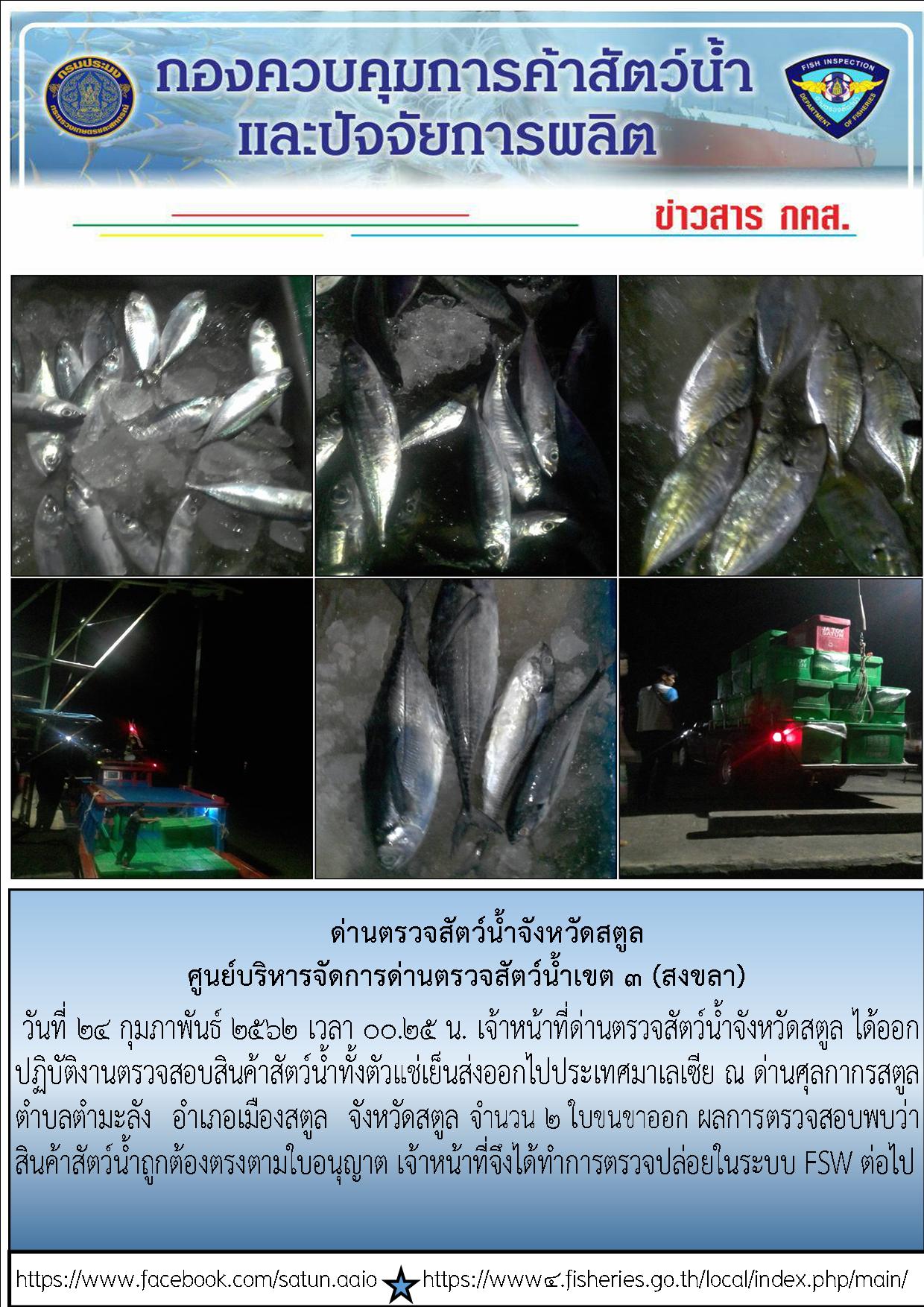 ประชาสัมพันธ์การปฏิบัติงานด่านตรวจสัตว์น้ำจังหวัดสตูล ประจำวันที่ 24 กุมภาพันธ์ 2562..คลิก