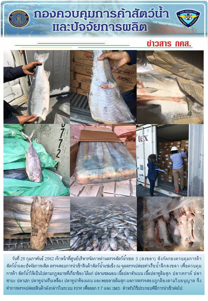 เจ้าหน้าที่ศูนย์บริหารจัดการด่านตรวจสัตว์น้ำเขต 3 (สงขลา) สังกัดกองควบคุมการค้าสัตว์น้ำและปัจจัยการผลิต ตรวจสอบการนำเข้าสินค้าสัตว์น้ำประเภทตู้คอนเทนเนอร์ ณ จุดตรวจปล่อยท่าเรือน้ำลึกสงขลา..คลิก