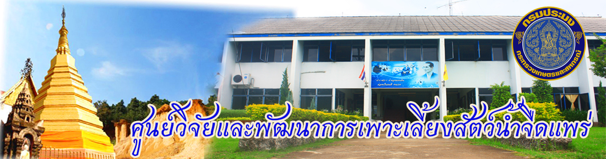 แบนเนอร์