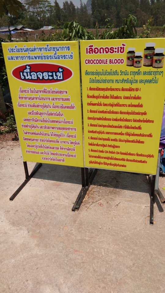 ลงพื้นที่ดำเนินงานโครงการส่งเสริมการพัฒนาการเพาะเลี้ยงจระเข้ครบวงจรของจังหวัดราชบุรี..คลิก