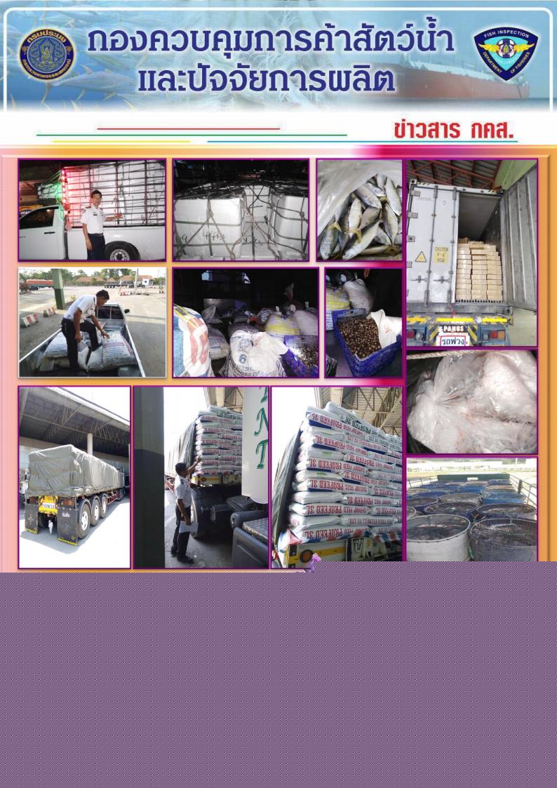 ข่าวสาร กคส. ประจำวันเสาร์ที่ 23 มีนาคม 2562..คลิก