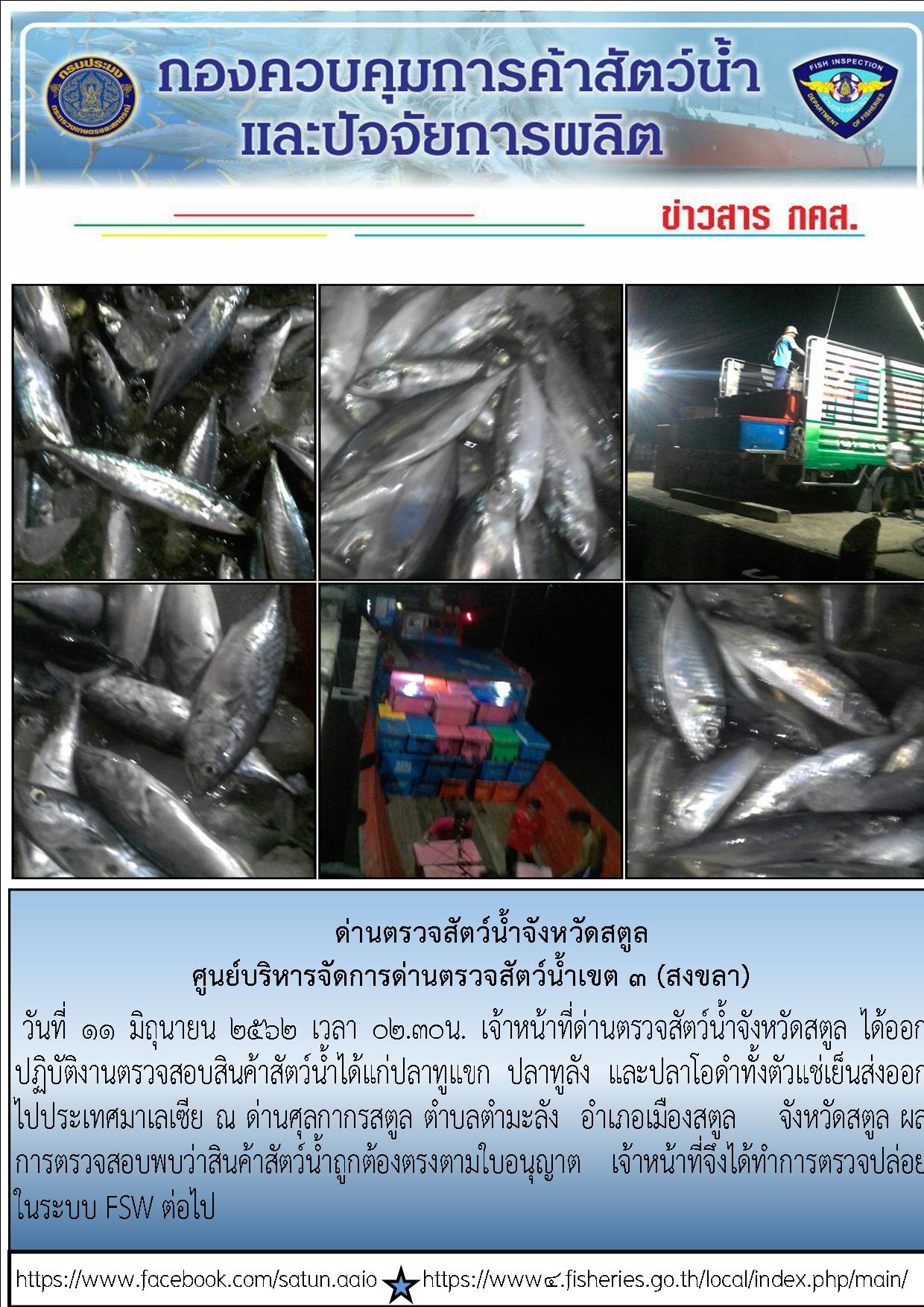 ประชาสัมพันธ์การปฏิบัติงานด่านตรวจสัตว์น้ำจังหวัดสตูล ประจำวันที่ 11 มิถุนายน 2562..คลิก