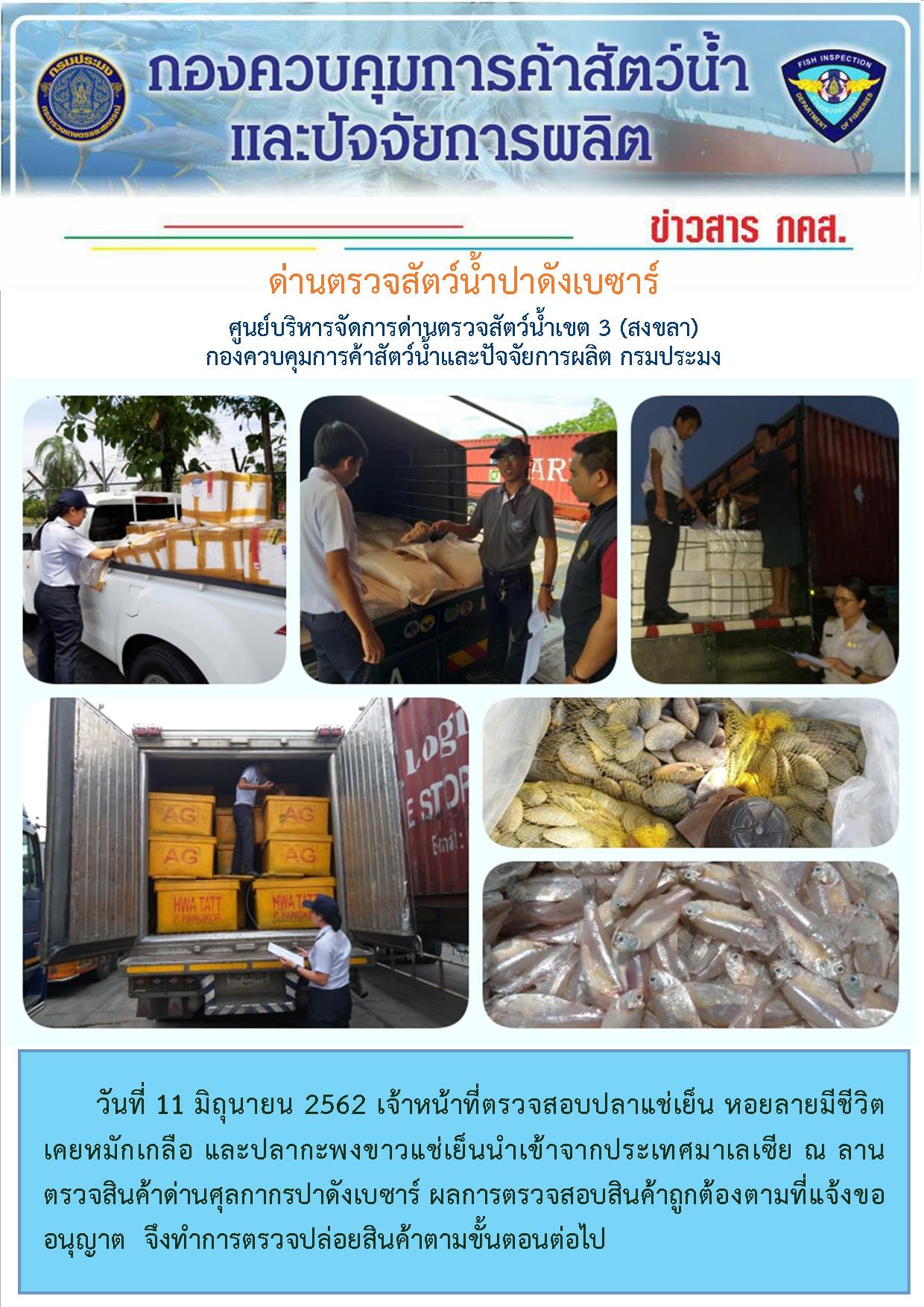 ด่านตรวจสัตว์น้ำปาดังเบซาร์ ตรวจสอบสัตว์น้ำนำเข้า ประจำวัน์ที่ 11 มิถุนายน 2562..คลิก