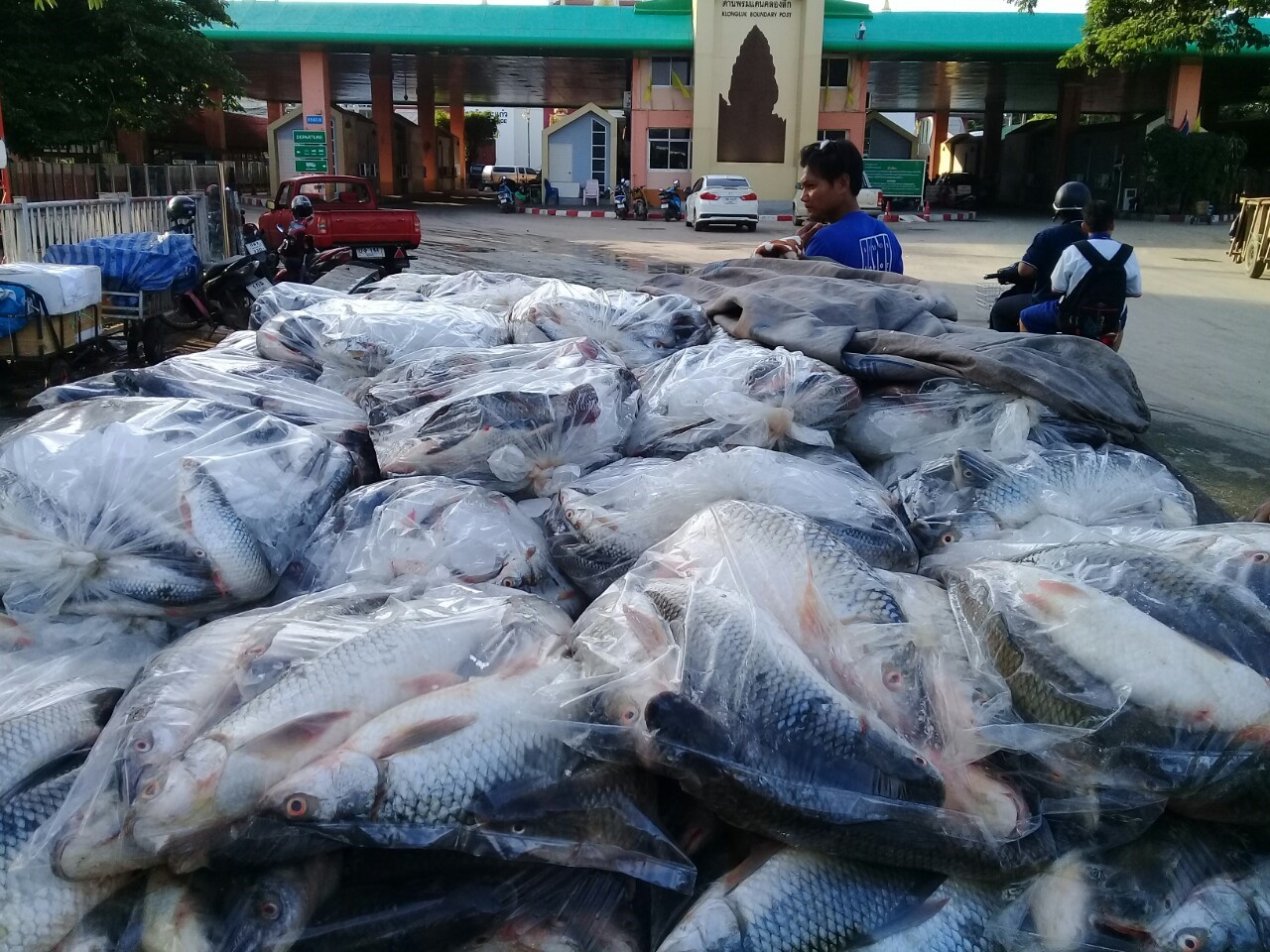 ตรวจสินค้าประมงที่นำเข้า ส่งออก ทางด่านพรมแดนถาวรคลองลึก..คลิก