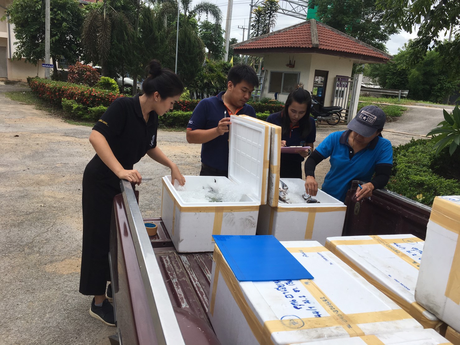 เจ้าหน้าที่ศูนย์ฯ ตรวจสอบสินค้าสัตว์น้ำแช่เย็นส่งออกไปยังสาธารณรัฐประชาธิปไตยประชาชนลาว..คลิก