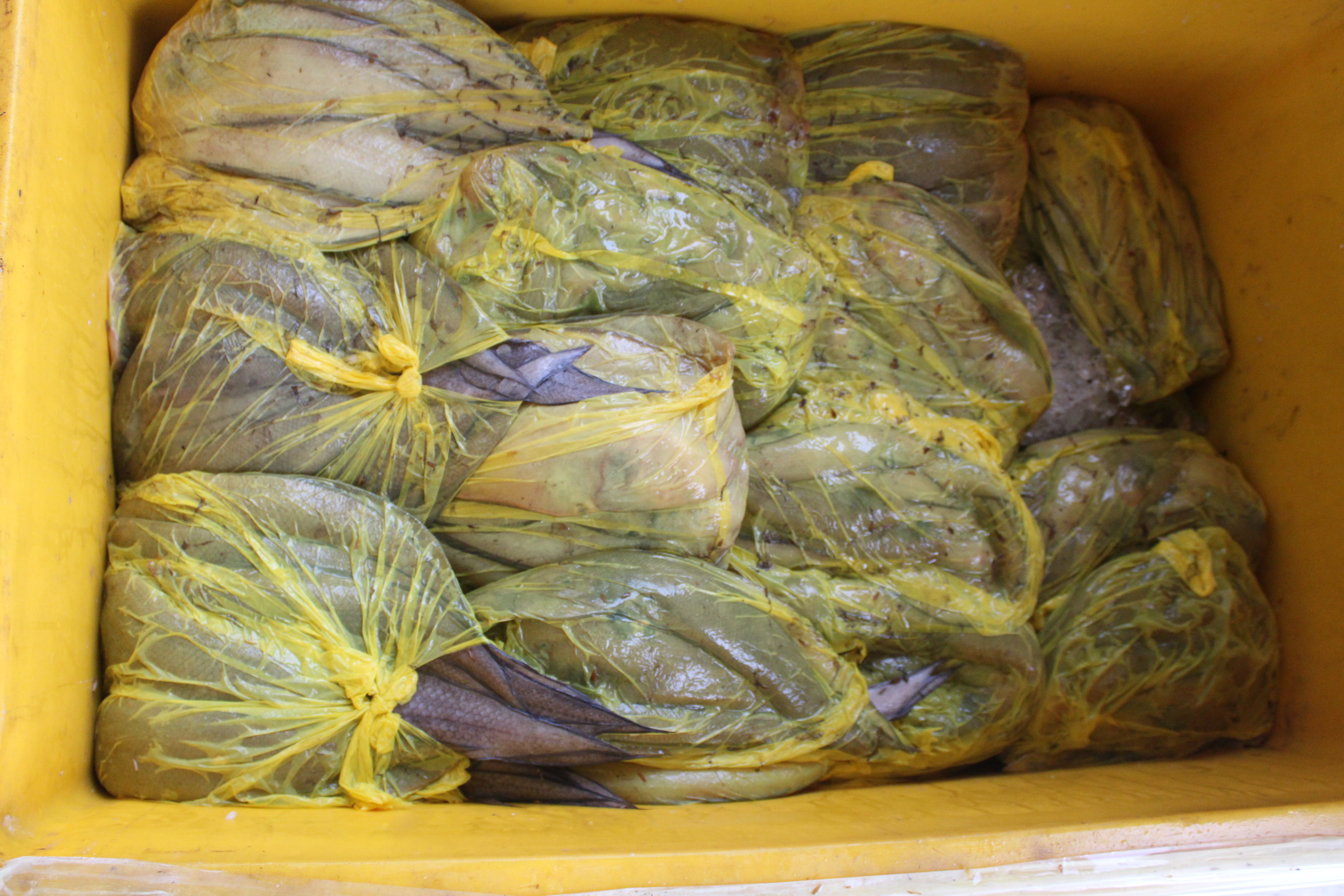 ควบคุมขนถ่ายสัตว์น้ำขึ้นท่าจากประเทศMYANMAR..คลิก