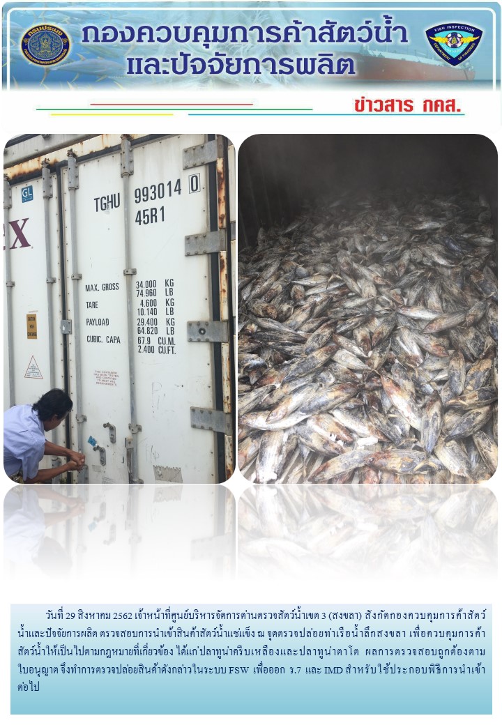 เจ้าหน้าที่ศูนย์บริหารจัดการด่านตรวจสัตว์น้ำเขต 3 (สงขลา) สังกัดกองควบคุมการค้าสัตว์น้ำและปัจจัยการผลิต ตรวจสอบการนำเข้าสินค้าสัตว์น้ำประเภทตู้คอนเทนเนอร์ ณ จุดตรวจปล่อยท่าเรือน้ำลึกสงขลา..คลิก