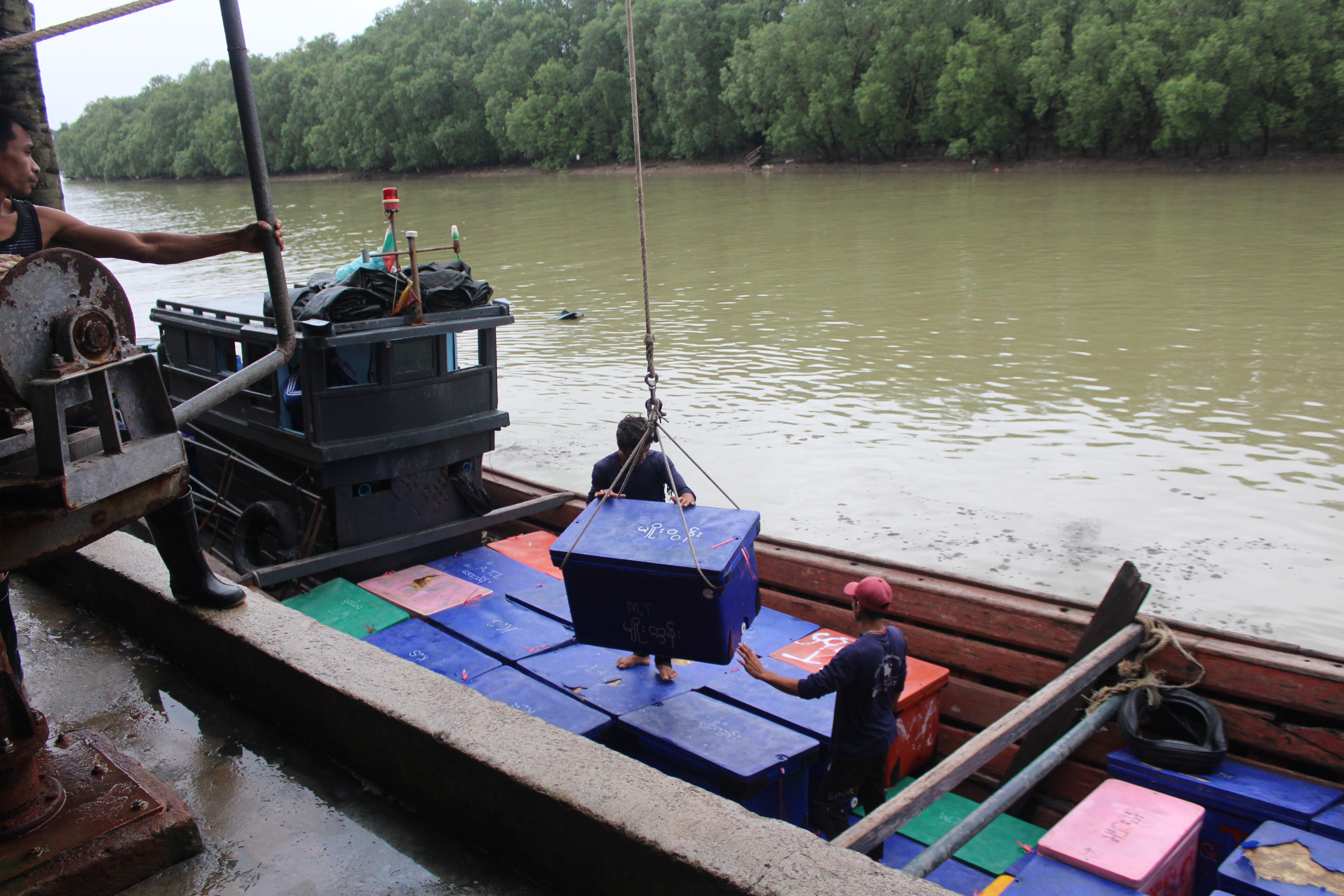 ควบคุมขนถ่ายสัตว์น้ำขึ้นท่าจากประเทศMYANMAR..คลิก