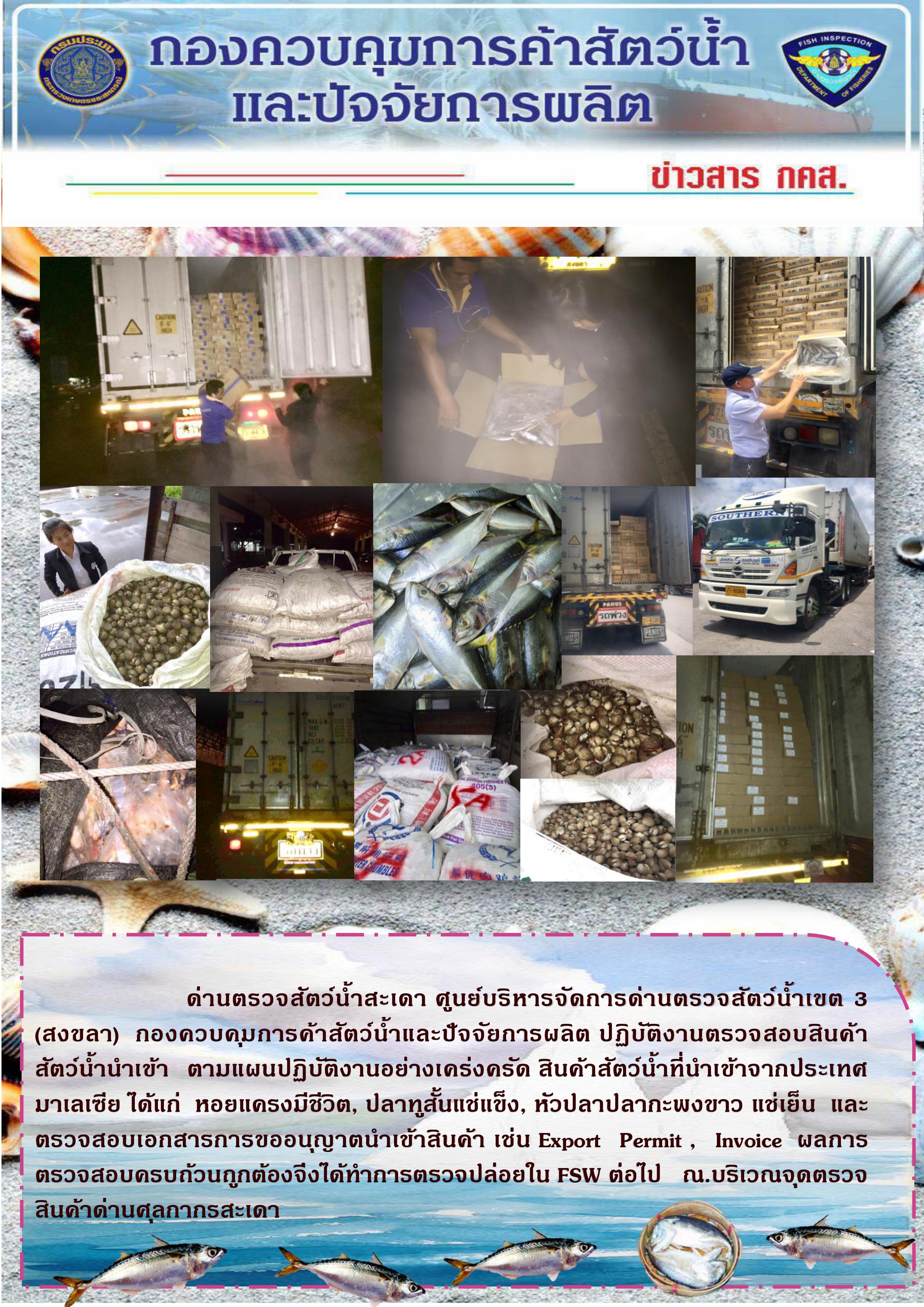 ข่าวสาร กคส. ประจำวันเสาร์ที่ 31 สิงหาคม 2562..คลิก