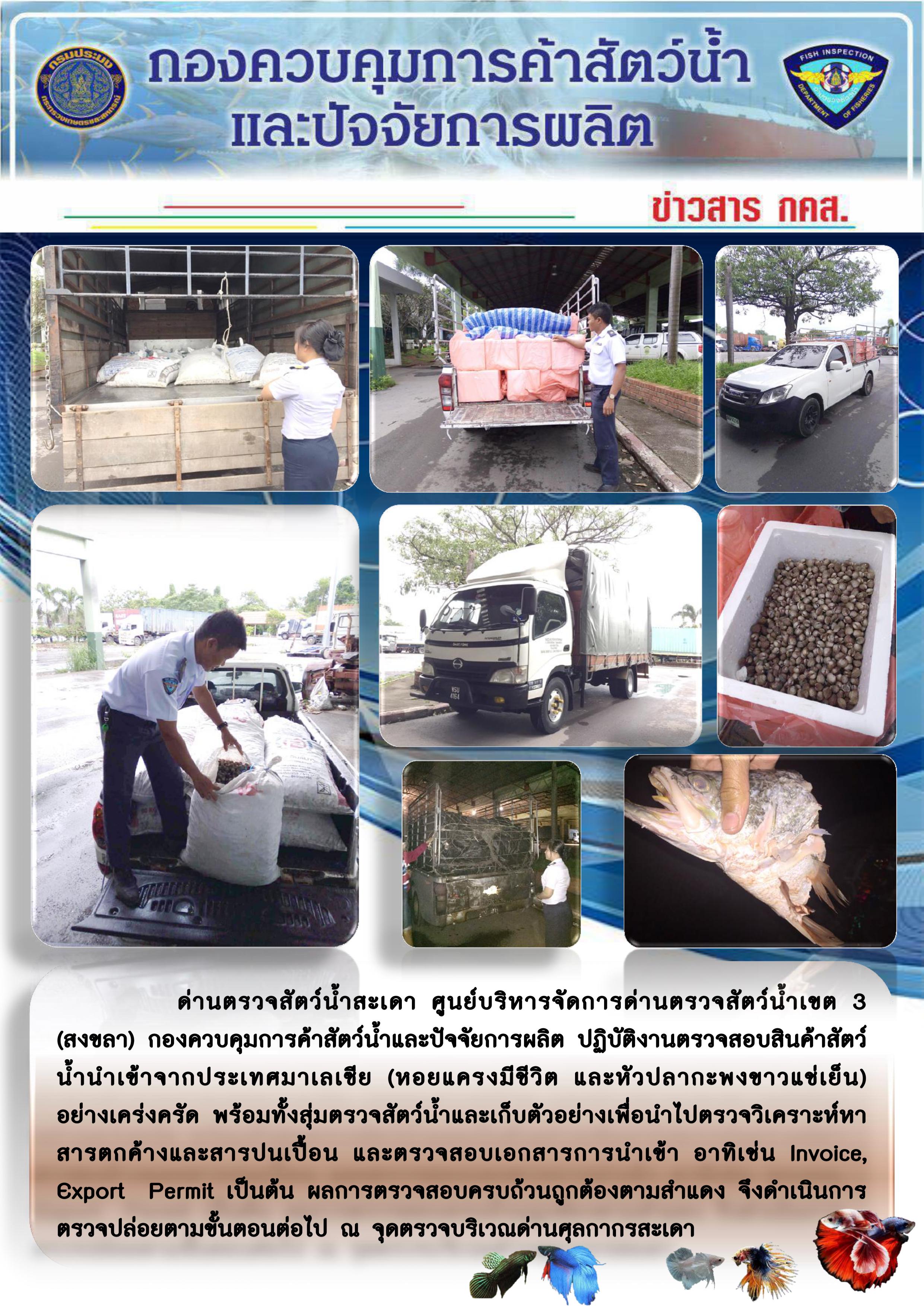 ข่าวสาร กคส. ประจำวันอังคารที่ 2 กันยายน 2562..คลิก