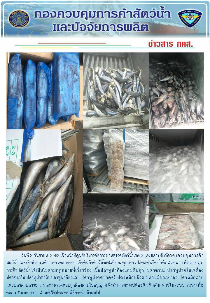 เจ้าหน้าที่ศูนย์บริหารจัดการด่านตรวจสัตว์น้ำเขต 3 (สงขลา) สังกัดกองควบคุมการค้าสัตว์น้ำและปัจจัยการผลิต ตรวจสอบการนำเข้าสินค้าสัตว์น้ำประเภทตู้คอนเทนเนอร์ ณ จุดตรวจปล่อยท่าเรือน้ำลึกสงขลา..คลิก