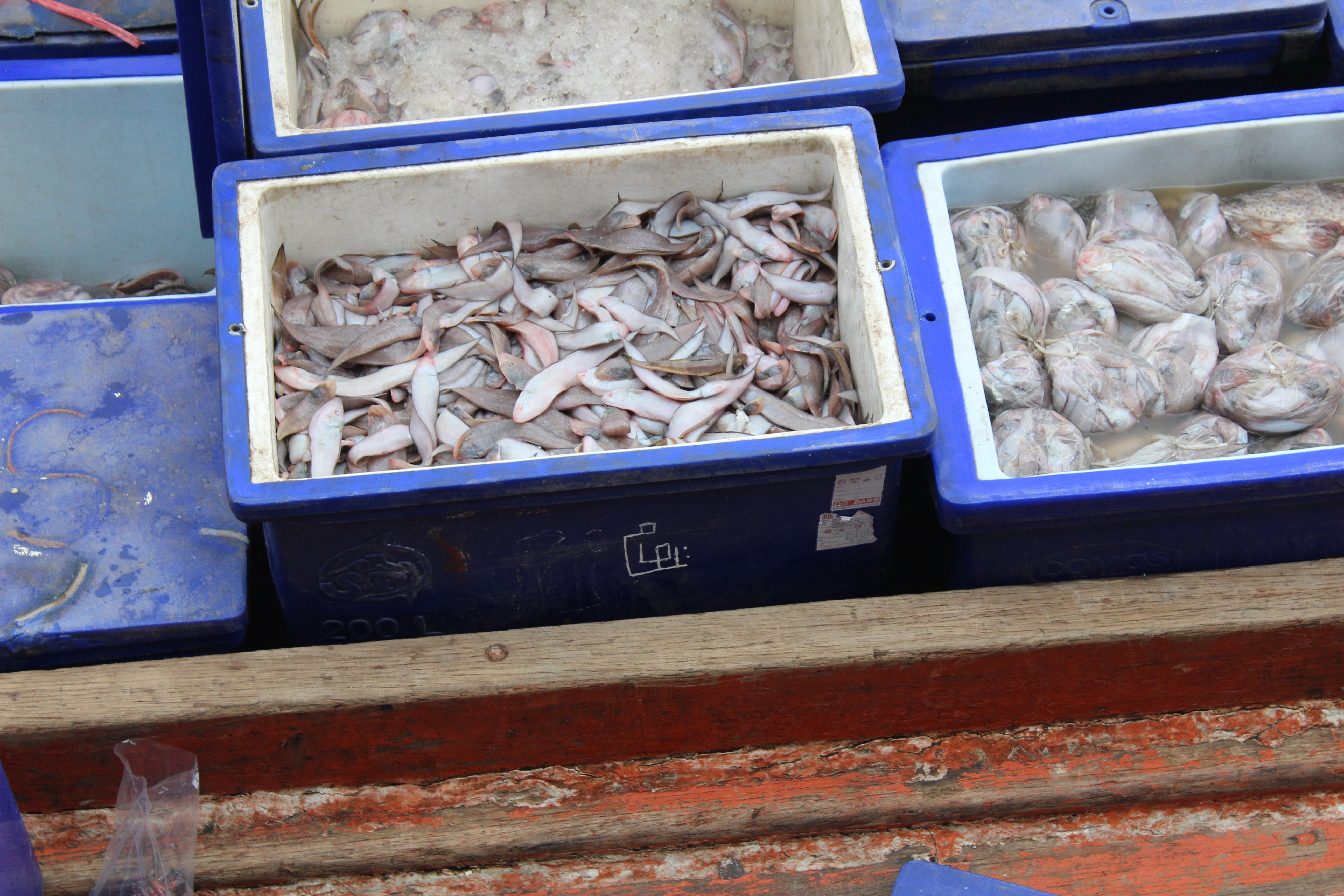 ตรวจสอบเรือและสินค้านำเข้าจากประเทศ MYANMAR..คลิก