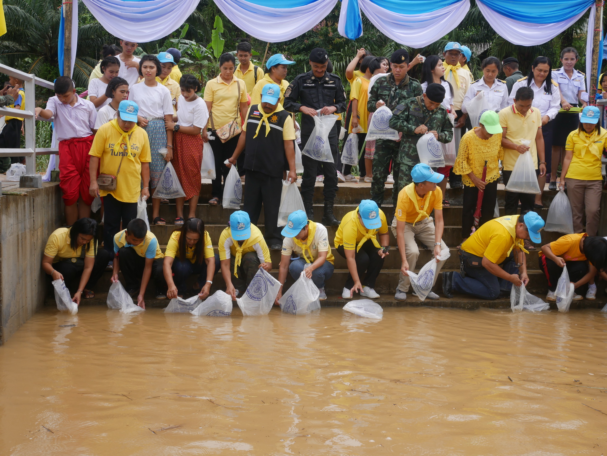 จังหวัดระนองจัดปล่อยพันธุ์สัตว์น้ำ เนื่องในวันประมงแห่งชาติ ประจำปี 62..คลิก