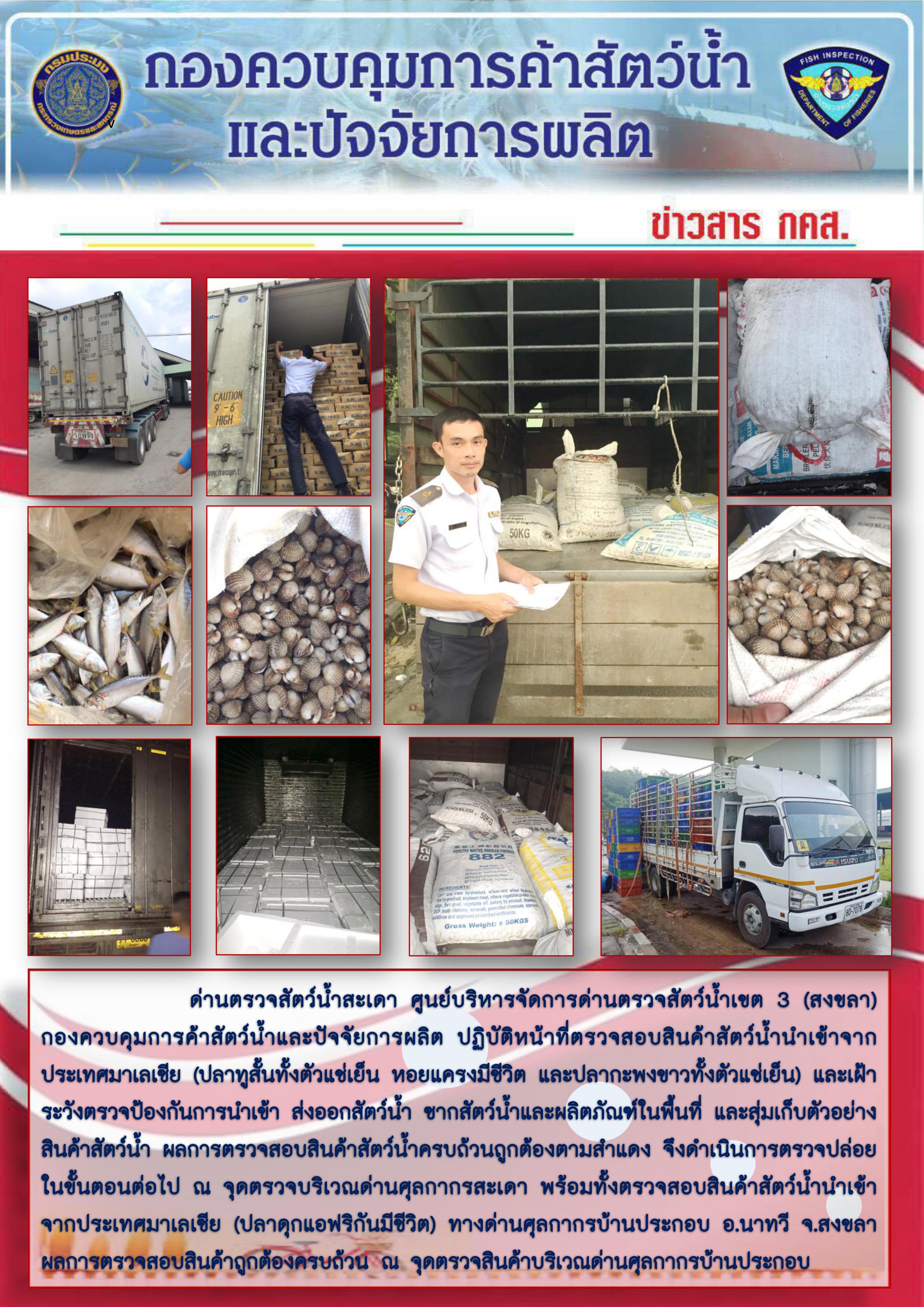 ข่าวสาร กคส. ประจำวันอาทิตย์ที่ 8 กันยายน 2562..คลิก
