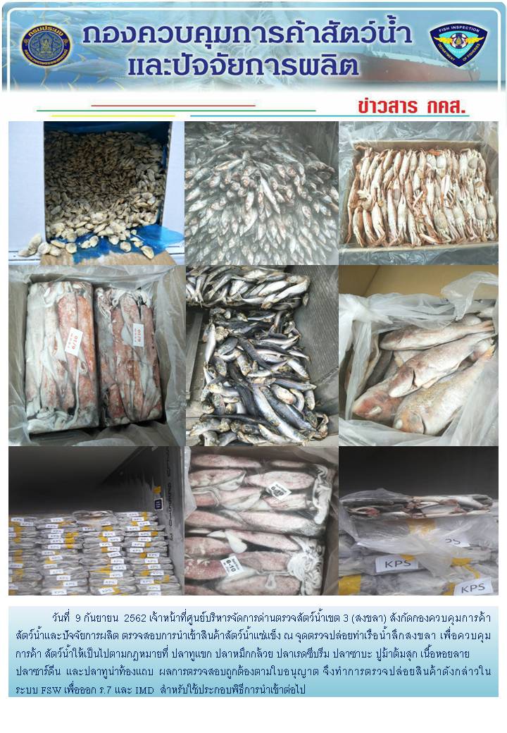 เจ้าหน้าที่ศูนย์บริหารจัดการด่านตรวจสัตว์น้ำเขต 3 (สงขลา) สังกัดกองควบคุมการค้าสัตว์น้ำและปัจจัยการผลิต ตรวจสอบการนำเข้าสินค้าสัตว์น้ำประเภทตู้คอนเทนเนอร์ ณ จุดตรวจปล่อยท่าเรือน้ำลึกสงขลา..คลิก