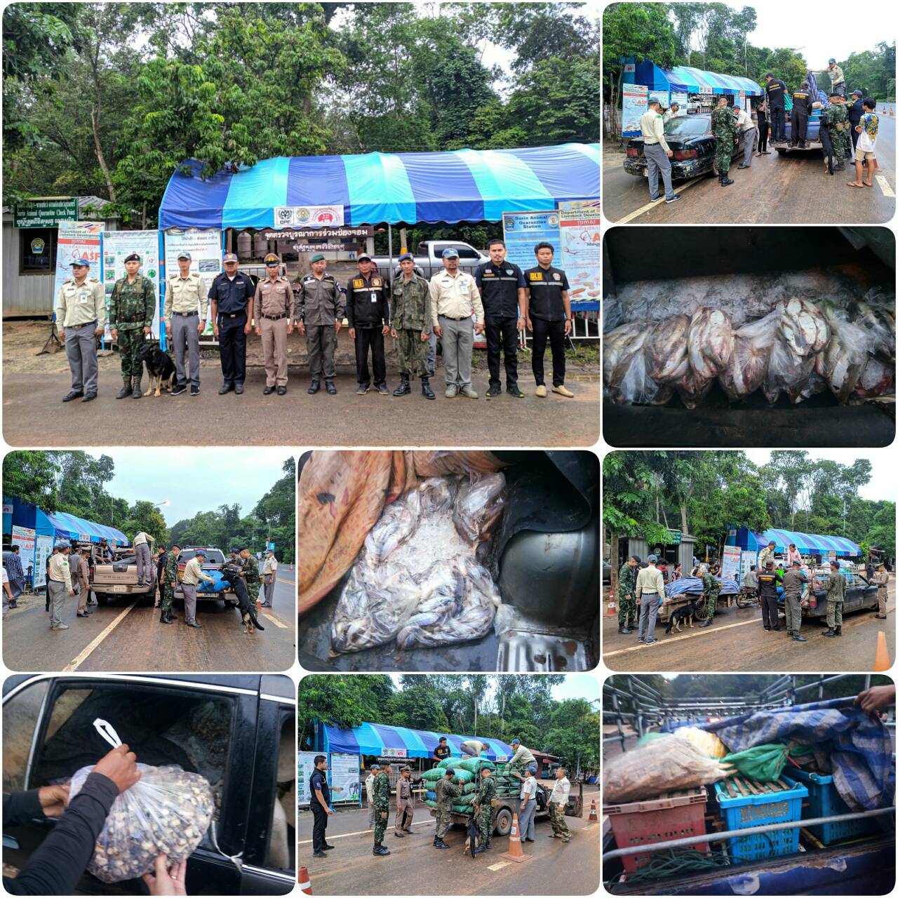 ผลการปฏิบัติงานด่านตรวจสัตว์น้ำจังหวัดสุรินทร์ วันที่ ๑๑ กันยายน พ.ศ.๒๕๖๒..คลิก