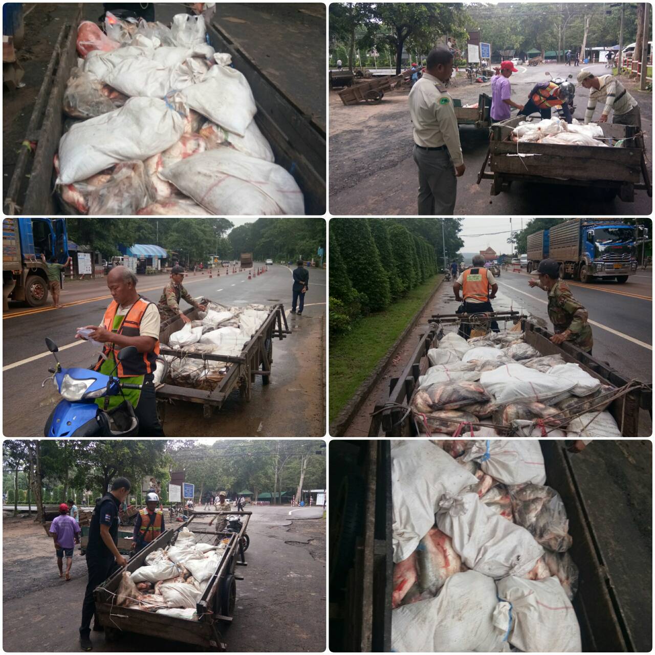 ผลการปฏิบัติงานด่านตรวจสัตว์น้ำจังหวัดสุรินทร์ วันที่ ๑๑ กันยายน พ.ศ.๒๕๖๒..คลิก