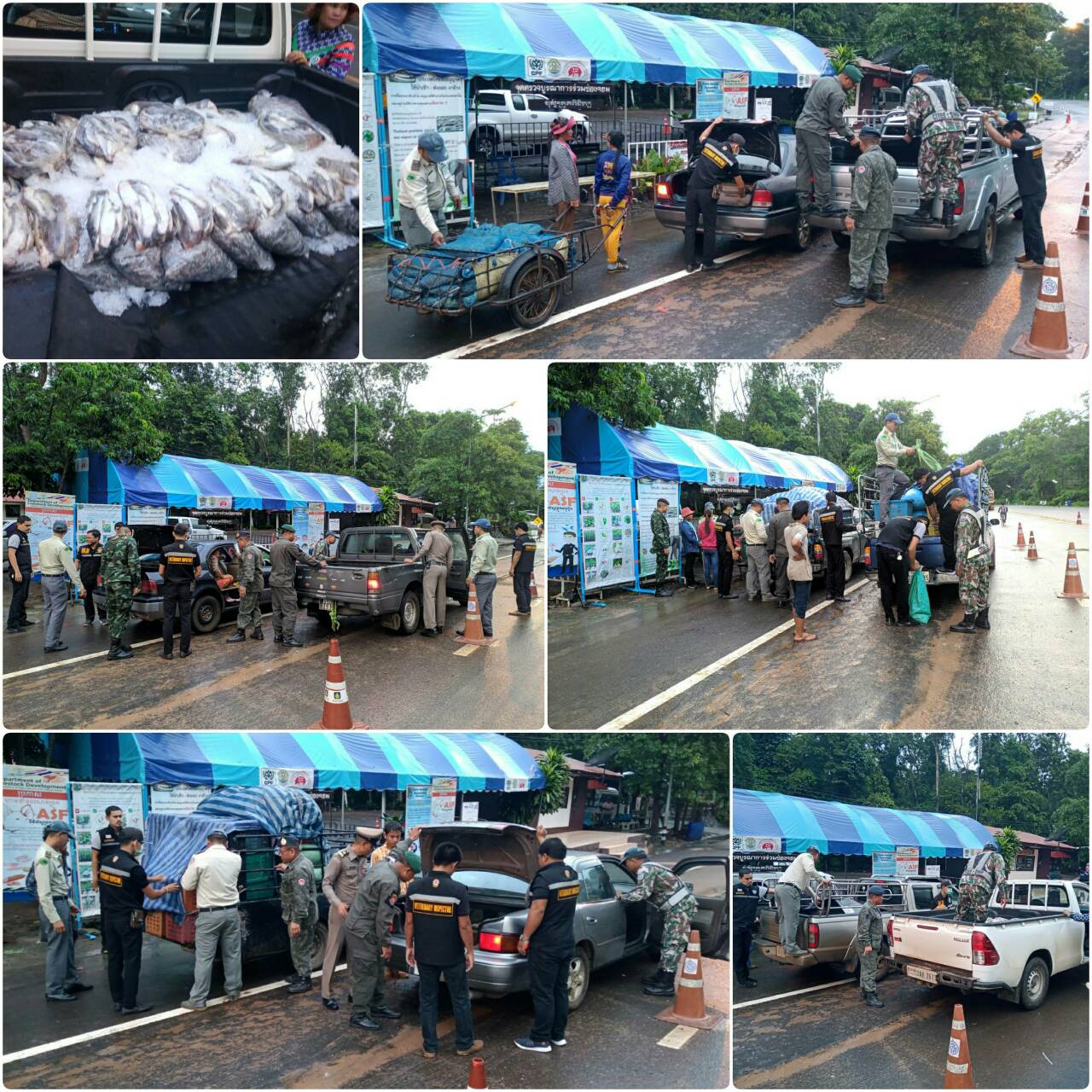 ผลการปฏิบัติงานด่านตรวจสัตว์น้ำจังหวัดสุรินทร์ วันที่ ๑๒ กันยายน พ.ศ.๒๕๖๒..คลิก