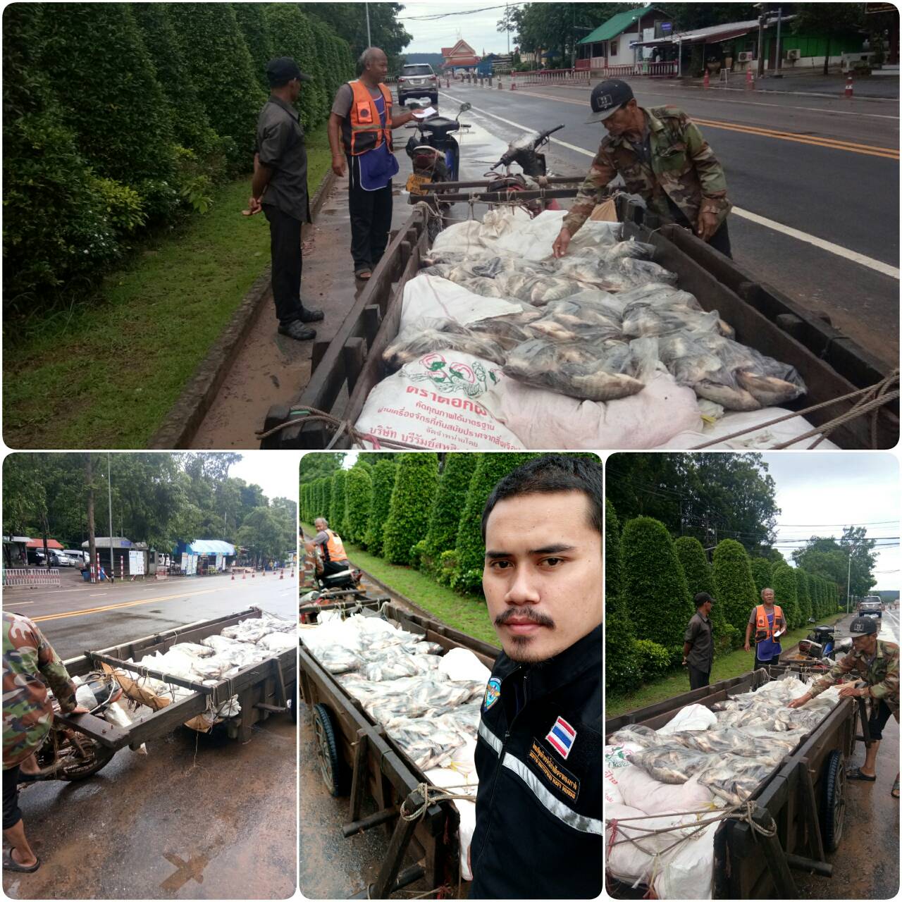 ผลการปฏิบัติงานด่านตรวจสัตว์น้ำจังหวัดสุรินทร์ วันที่ ๑๒ กันยายน พ.ศ.๒๕๖๒..คลิก