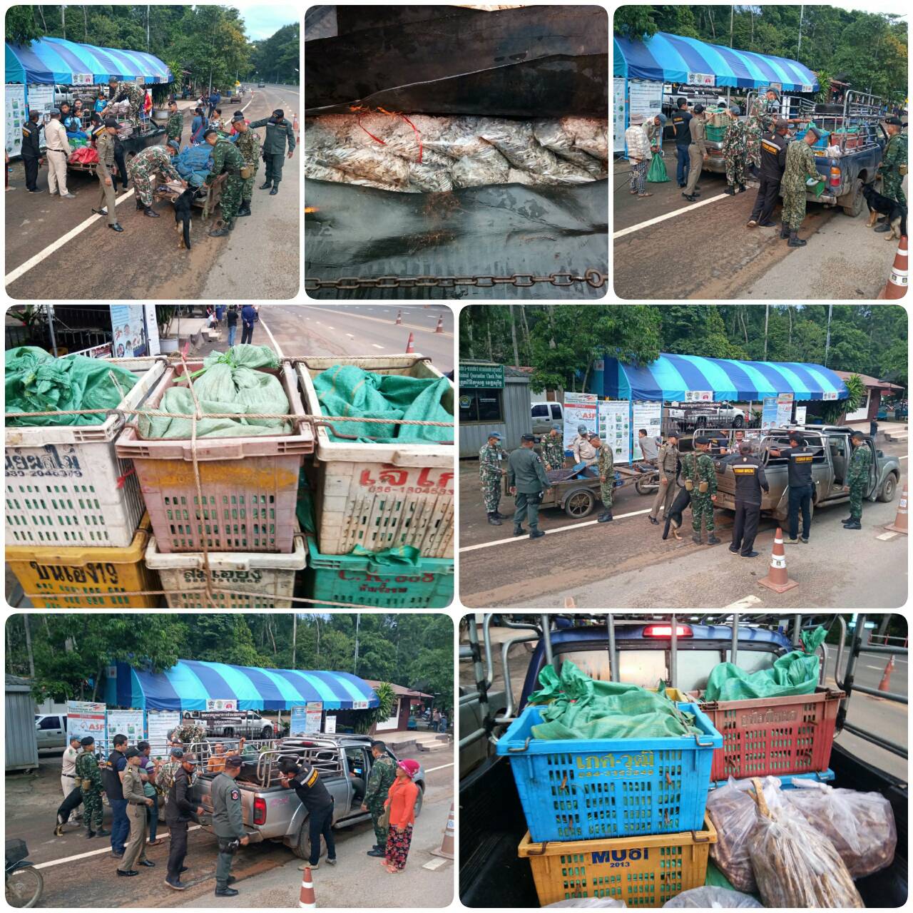 ผลการปฏิบัติงานด่านตรวจสัตว์น้ำจังหวัดสุรินทร์ วันที่ ๑๓ กันยายน พ.ศ.๒๕๖๒..คลิก