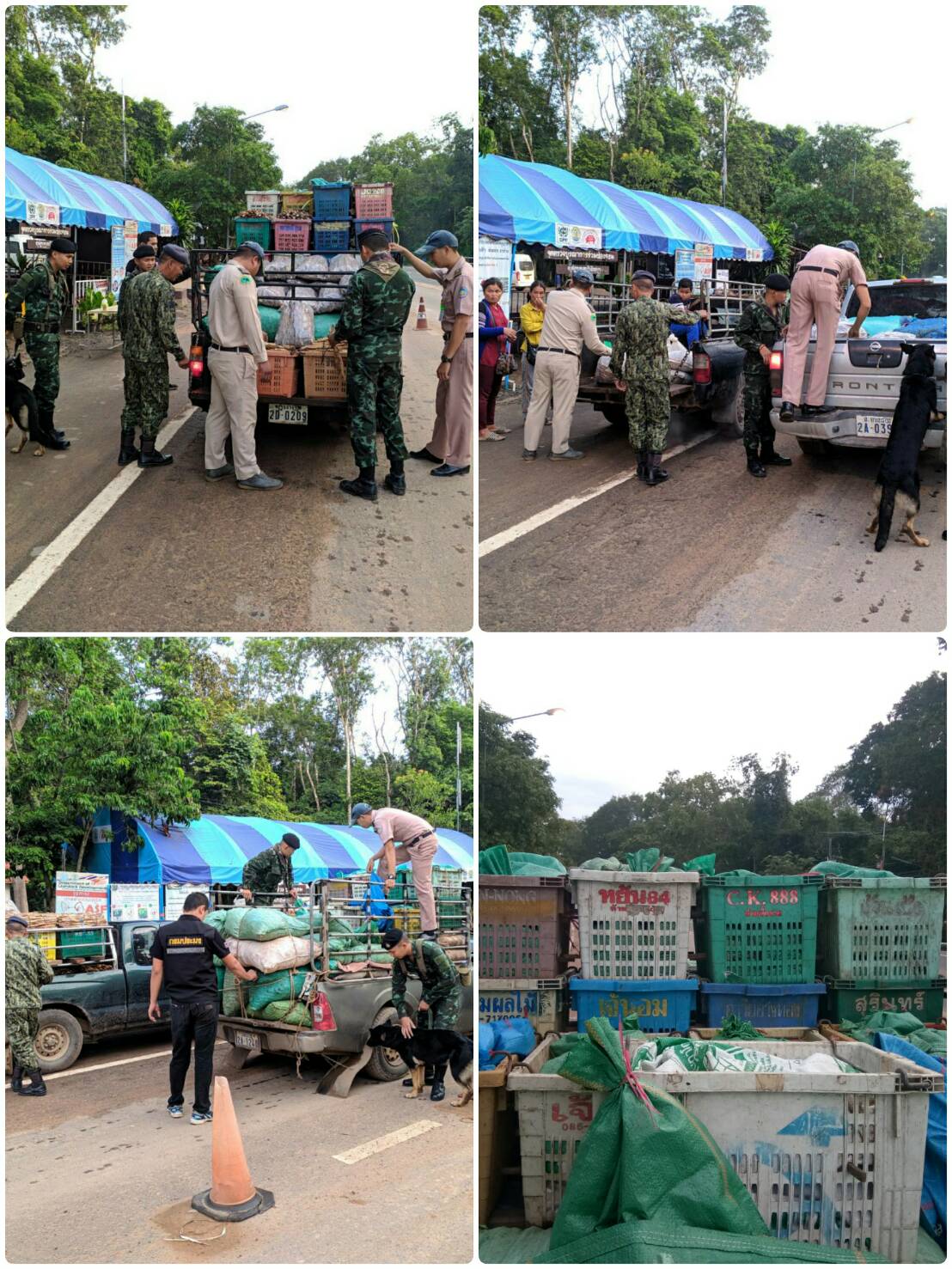 ผลการปฏิบัติงานด่านตรวจสัตว์น้ำจังหวัดสุรินทร์ วันที่ ๑๖ กันยายน พ.ศ.๒๕๖๒..คลิก