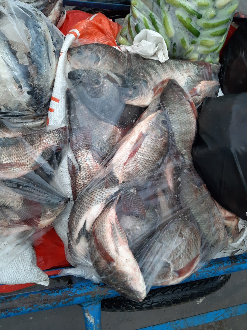 ตรวจสินค้าประมงที่ส่งออก ทางด่านพรมแดนถาวรคลองลึก..คลิก