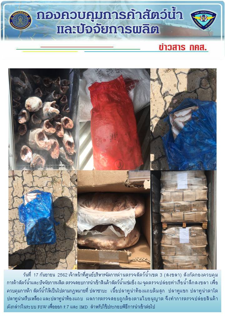 เจ้าหน้าที่ศูนย์บริหารจัดการด่านตรวจสัตว์น้ำเขต 3 (สงขลา) สังกัดกองควบคุมการค้าสัตว์น้ำและปัจจัยการผลิต ตรวจสอบการนำเข้าสินค้าสัตว์น้ำประเภทตู้คอนเทนเนอร์ ณ จุดตรวจปล่อยท่าเรือน้ำลึกสงขลา..คลิก