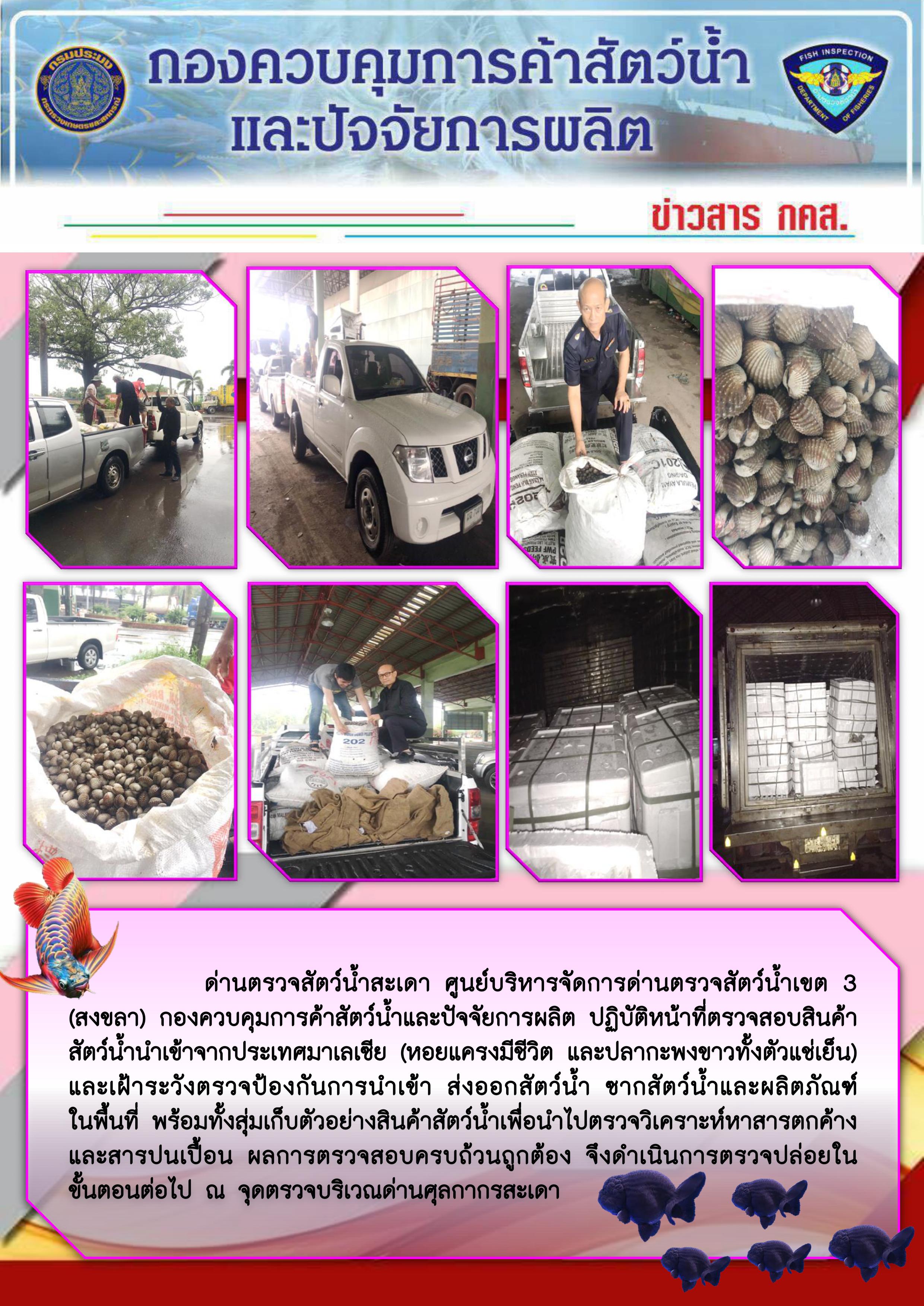 ข่าวสาร กคส. ประจำวันอังคารที่ 17 กันยายน 2562..คลิก
