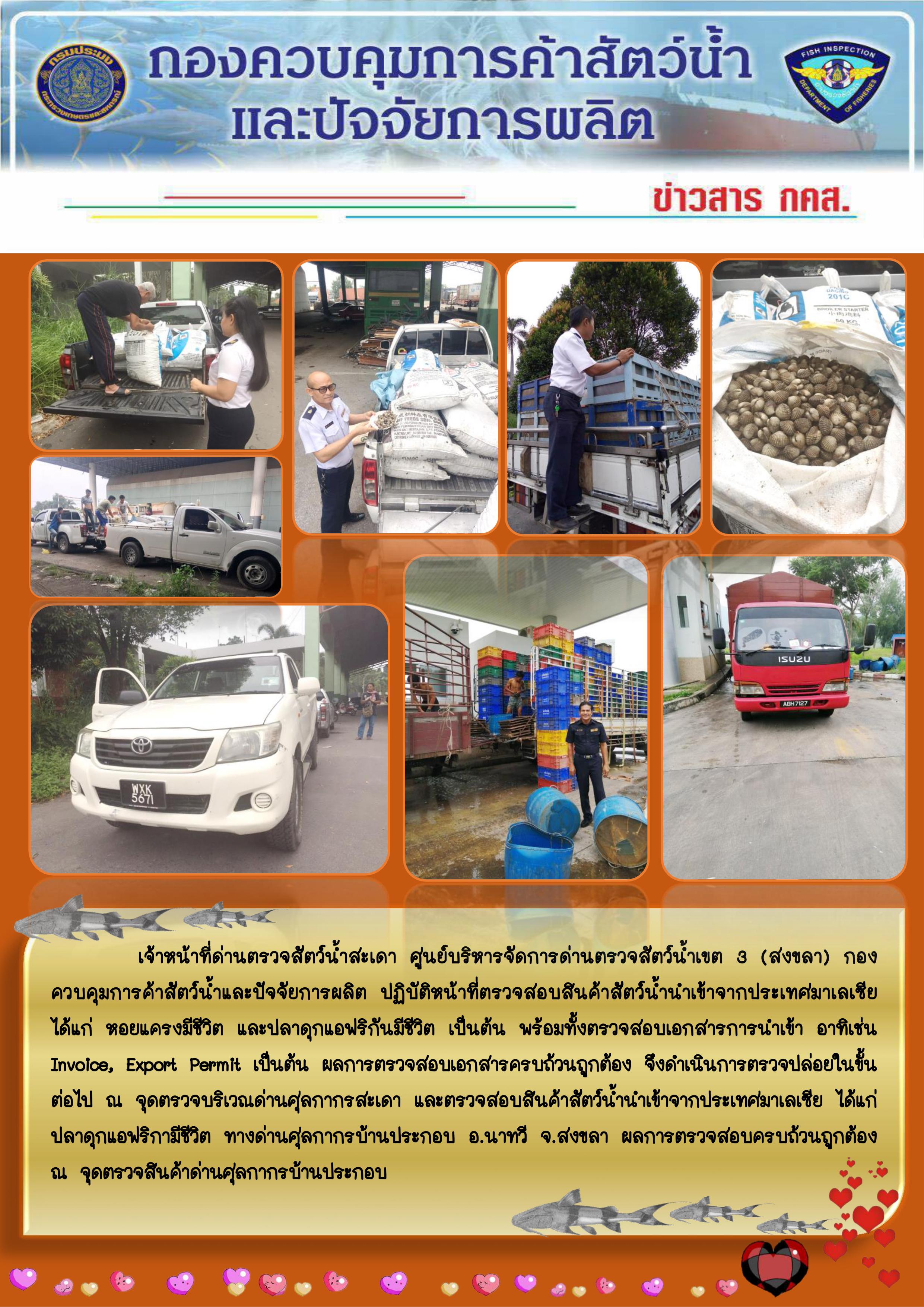 ข่าวสาร กคส. ประจำวันพฤหัสบดีที่ 19 กันยายน 2562..คลิก
