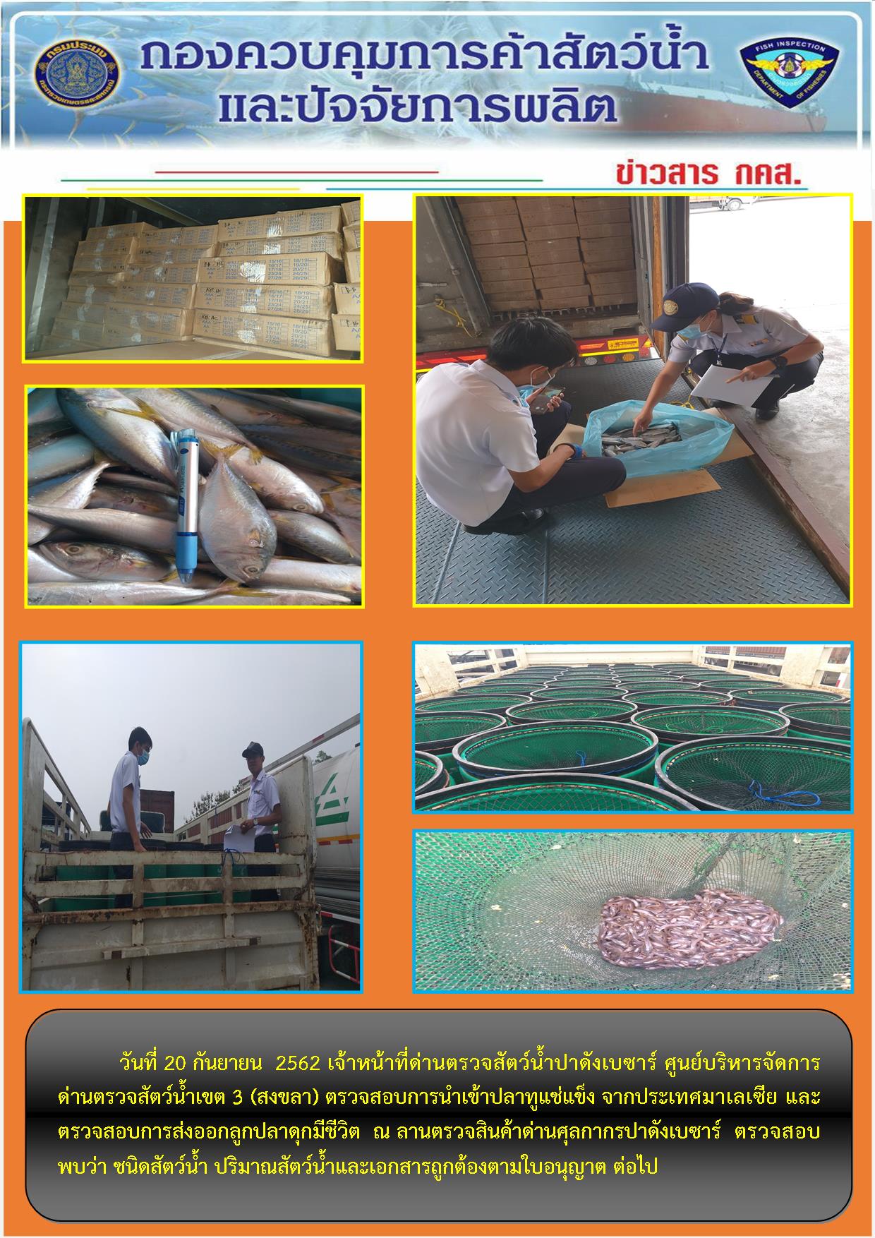 ด่านตรวจสัตว์น้ำปาดังเบซาร์ตรวจสอบสัตว์น้ำนำเข้า-ส่งออก..คลิก