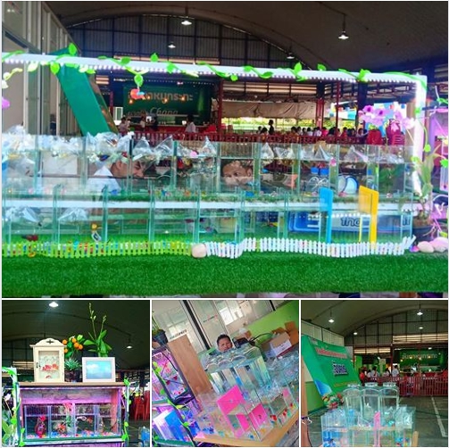 ตลาด อตก สงขลา ครับ ตรงข้าม อบจ สงขลา ตรงข้าม โรงเรียน นวมินทร์ ครับ ชม ซื้อ ได้ตามสะดวกครับ ปลากัด สัตว์น้ำประจำชาติไทย.....คลิก