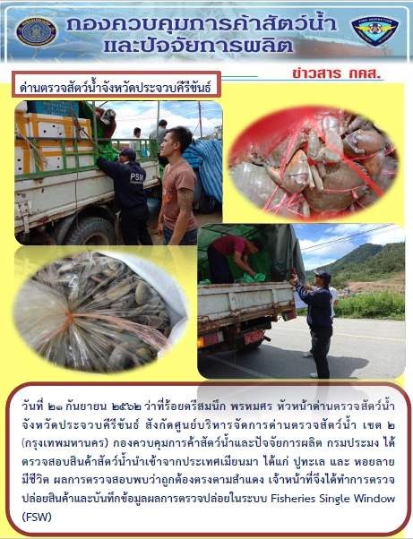 สินค้าสัตว์น้ำนำเข้าจากประเทศเมียนมา..คลิก