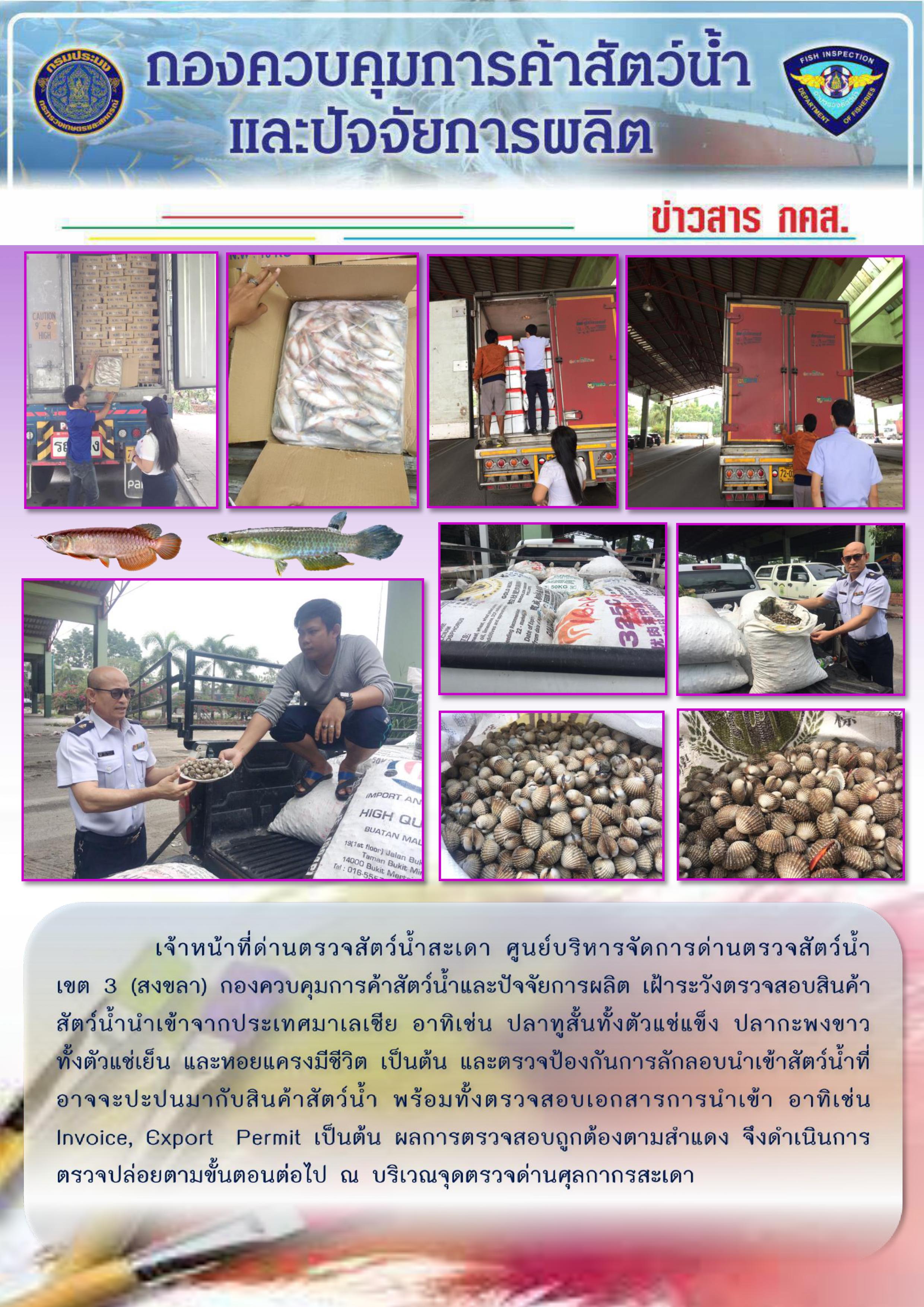 ข่าวสาร กคส. ประจำวันเสาร์ที่ 21 กันยายน 2562..คลิก