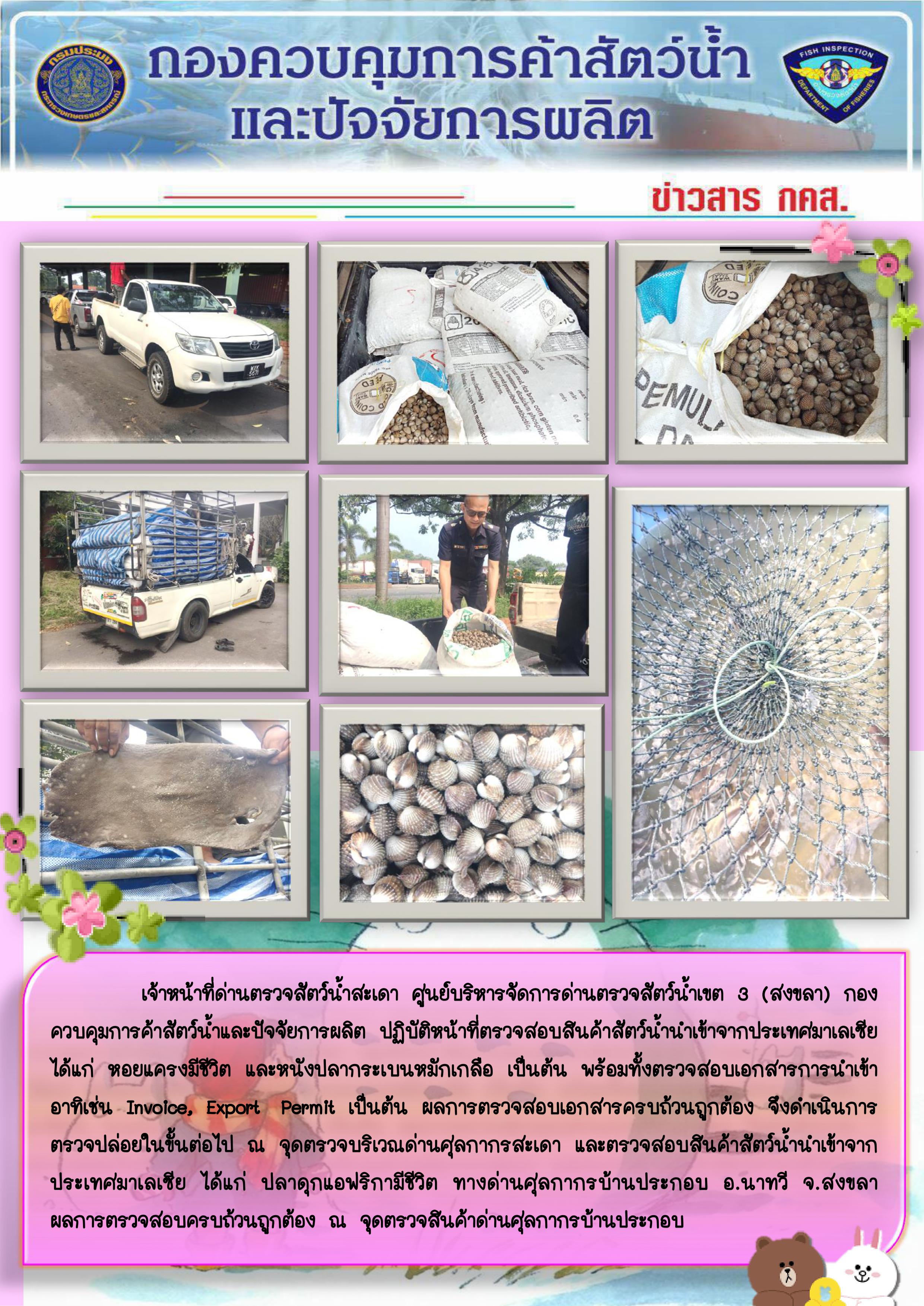 ข่าวสาร กคส. ประจำวันอังคาร ที่ 24 กันยายน 2562..คลิก