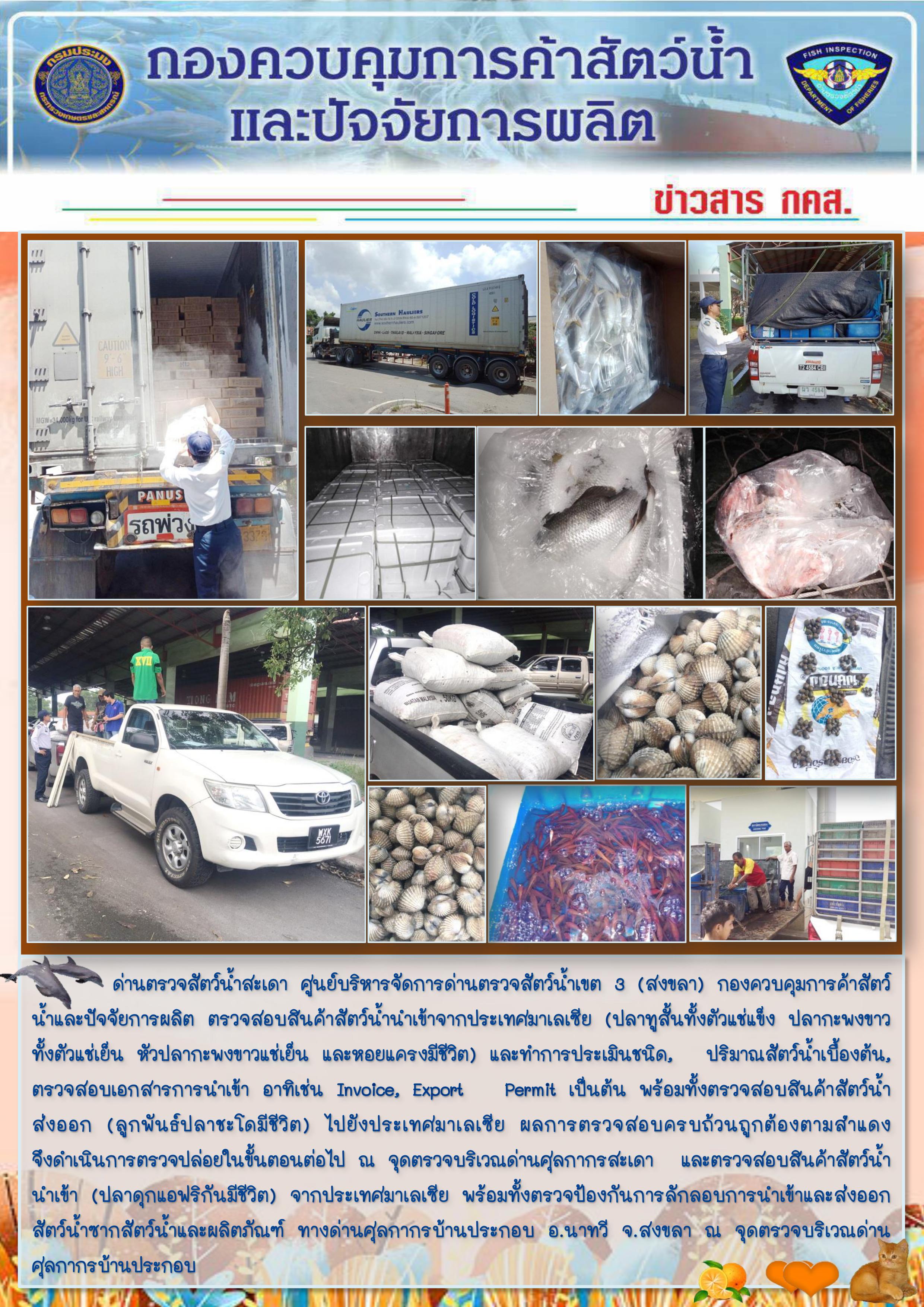 ข่าวสาร กคส. ประจำวันพฤหัสบดีที่ 26 กันยายน 2562..คลิก