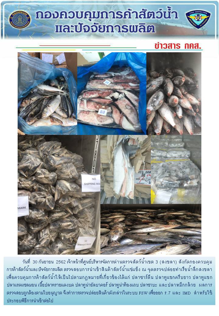 เจ้าหน้าที่ศูนย์บริหารจัดการด่านตรวจสัตว์น้ำเขต 3 (สงขลา) สังกัดกองควบคุมการค้าสัตว์น้ำและปัจจัยการผลิต ตรวจสอบการนำเข้าสินค้าสัตว์น้ำประเภทตู้คอนเทนเนอร์ ณ จุดตรวจปล่อยท่าเรือน้ำลึกสงขลา..คลิก