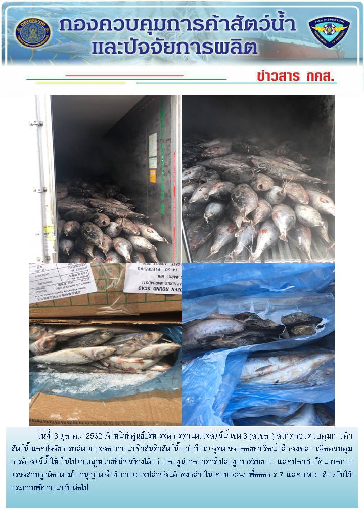เจ้าหน้าที่ศูนย์บริหารจัดการด่านตรวจสัตว์น้ำเขต 3 (สงขลา) สังกัดกองควบคุมการค้าสัตว์น้ำและปัจจัยการผลิต ตรวจสอบการนำเข้าสินค้าสัตว์น้ำประเภทตู้คอนเทนเนอร์ ณ จุดตรวจปล่อยท่าเรือน้ำลึกสงขลา..คลิก