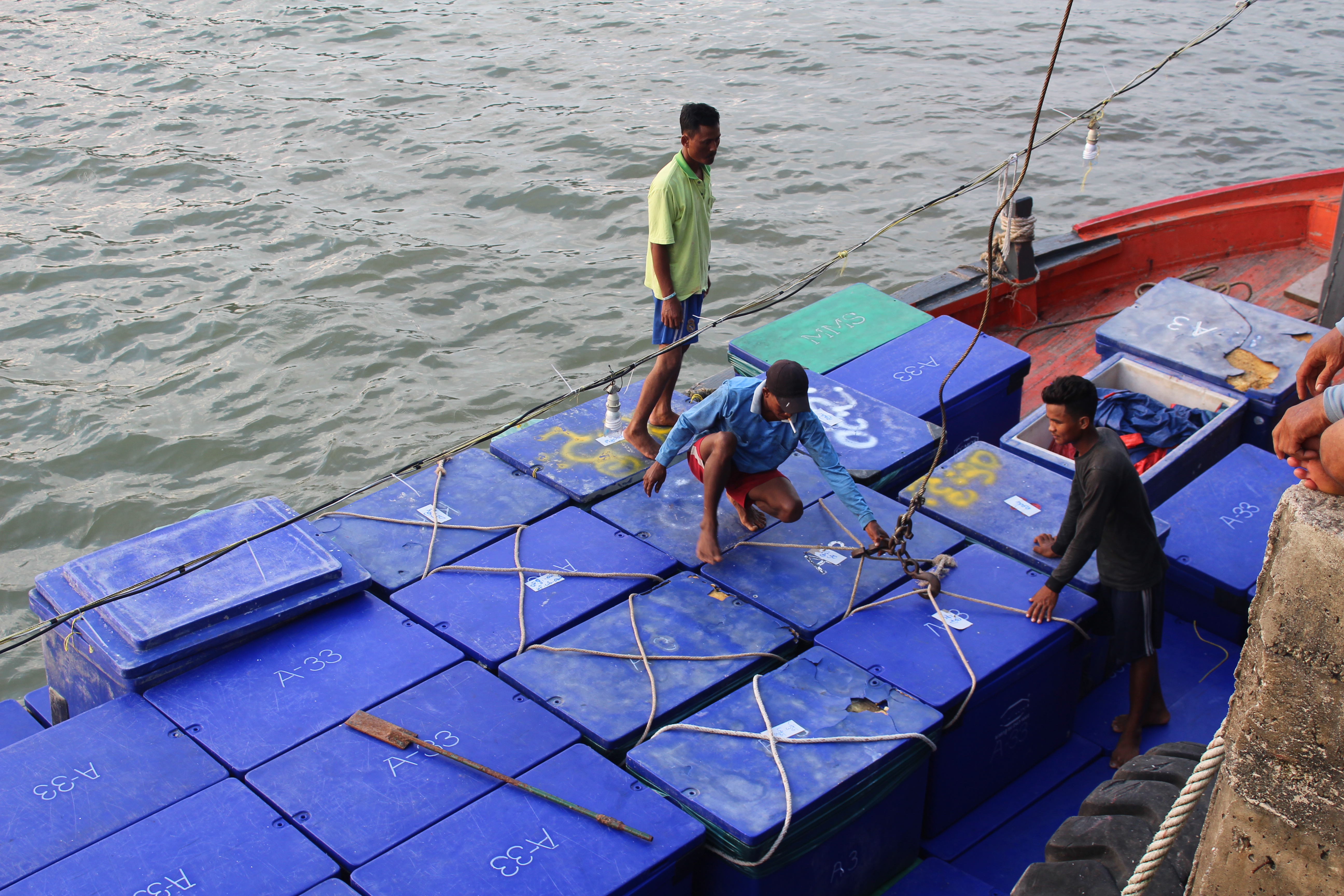 ควบคุมขนถ่ายสัตว์น้ำขึ้นท่าจากประเทศMYANMAR..คลิก