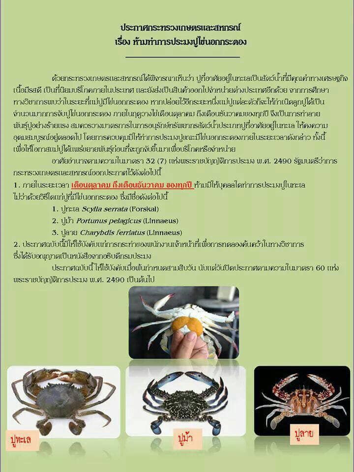 ประกาศกระทรวงเกษตรและสหกรณ์ เรื่อง ห้ามจับปูที่มีไข่นอกกระดอง 3 ชนิด ตั้งแต่ เดือนตุลาคม-ธันวาคม ของทุกปี..คลิก