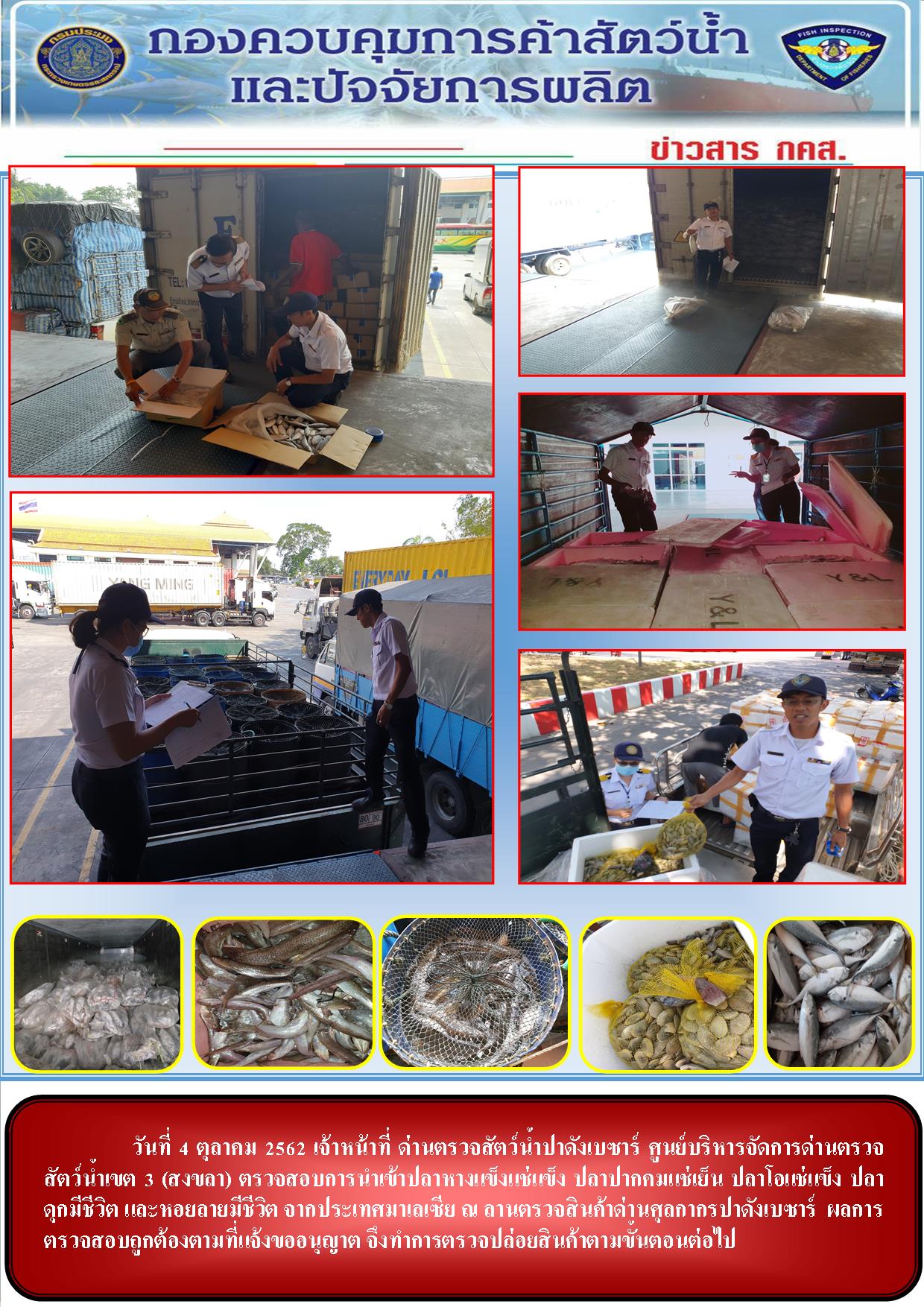 ด่านตรวจสัตว์น้ำปาดังเบซาร์ตรวจสอบสัตว์น้ำนำเข้า..คลิก