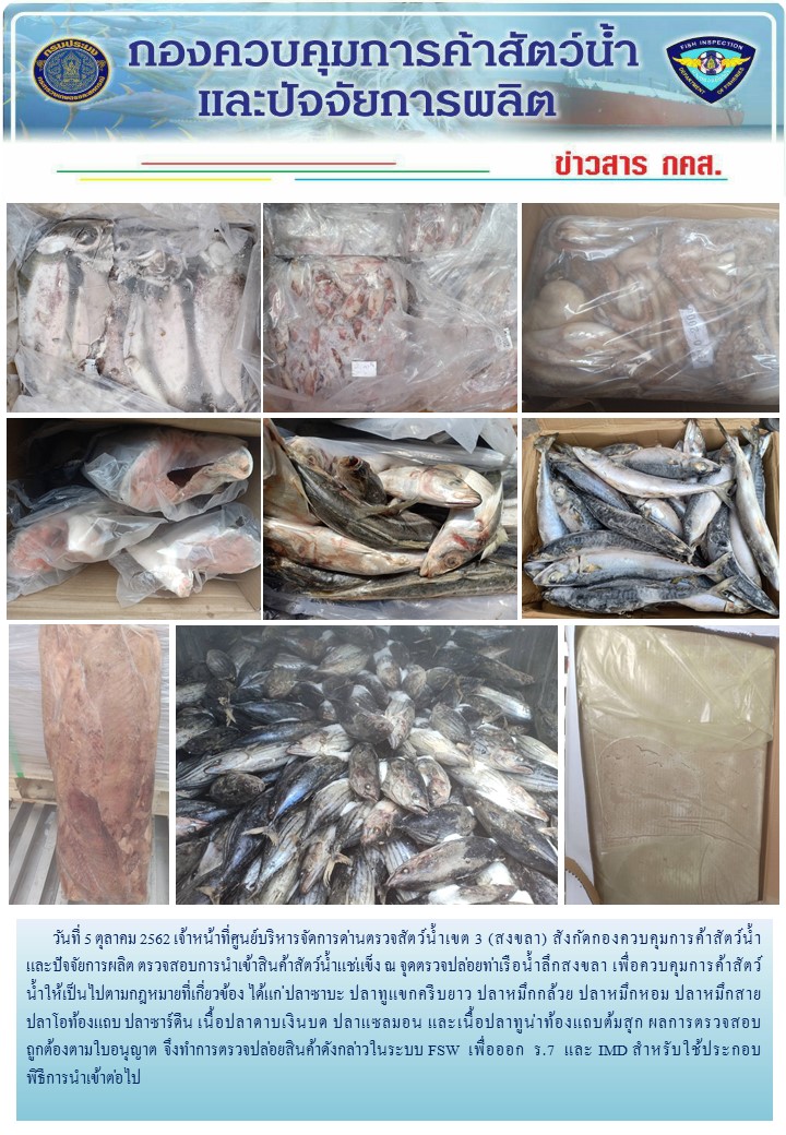 เจ้าหน้าที่ศูนย์บริหารจัดการด่านตรวจสัตว์น้ำเขต 3 (สงขลา) สังกัดกองควบคุมการค้าสัตว์น้ำและปัจจัยการผลิต ตรวจสอบการนำเข้าสินค้าสัตว์น้ำประเภทตู้คอนเทนเนอร์ ณ จุดตรวจปล่อยท่าเรือน้ำลึกสงขลา..คลิก