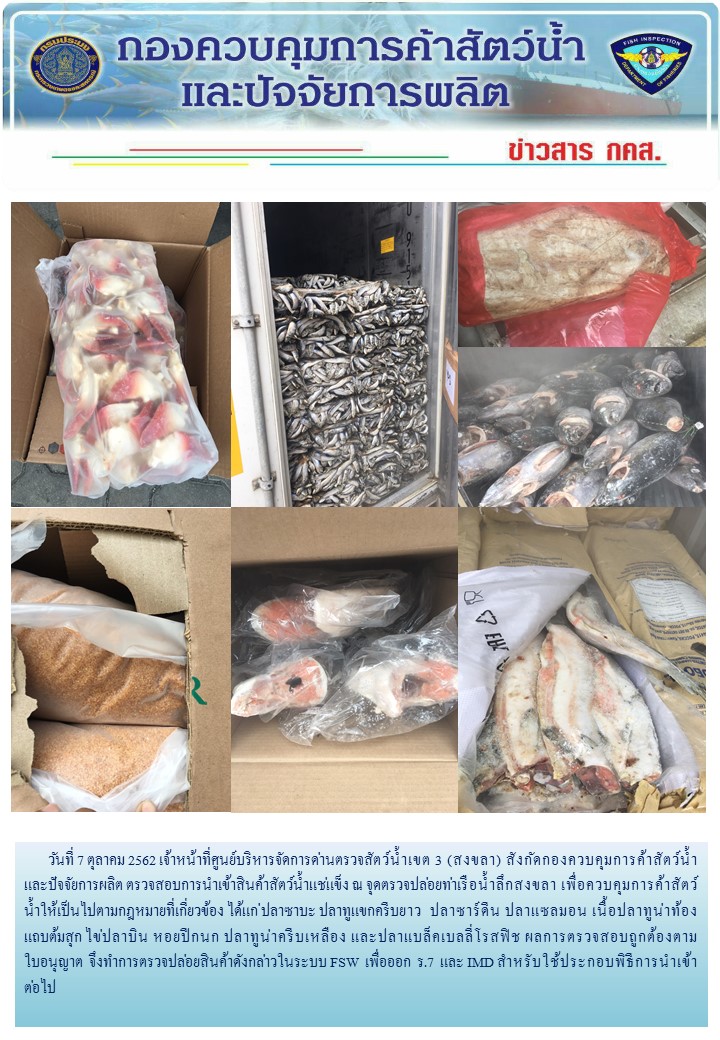 เจ้าหน้าที่ศูนย์บริหารจัดการด่านตรวจสัตว์น้ำเขต 3 (สงขลา) สังกัดกองควบคุมการค้าสัตว์น้ำและปัจจัยการผลิต ตรวจสอบการนำเข้าสินค้าสัตว์น้ำประเภทตู้คอนเทนเนอร์ ณ จุดตรวจปล่อยท่าเรือน้ำลึกสงขลา..คลิก