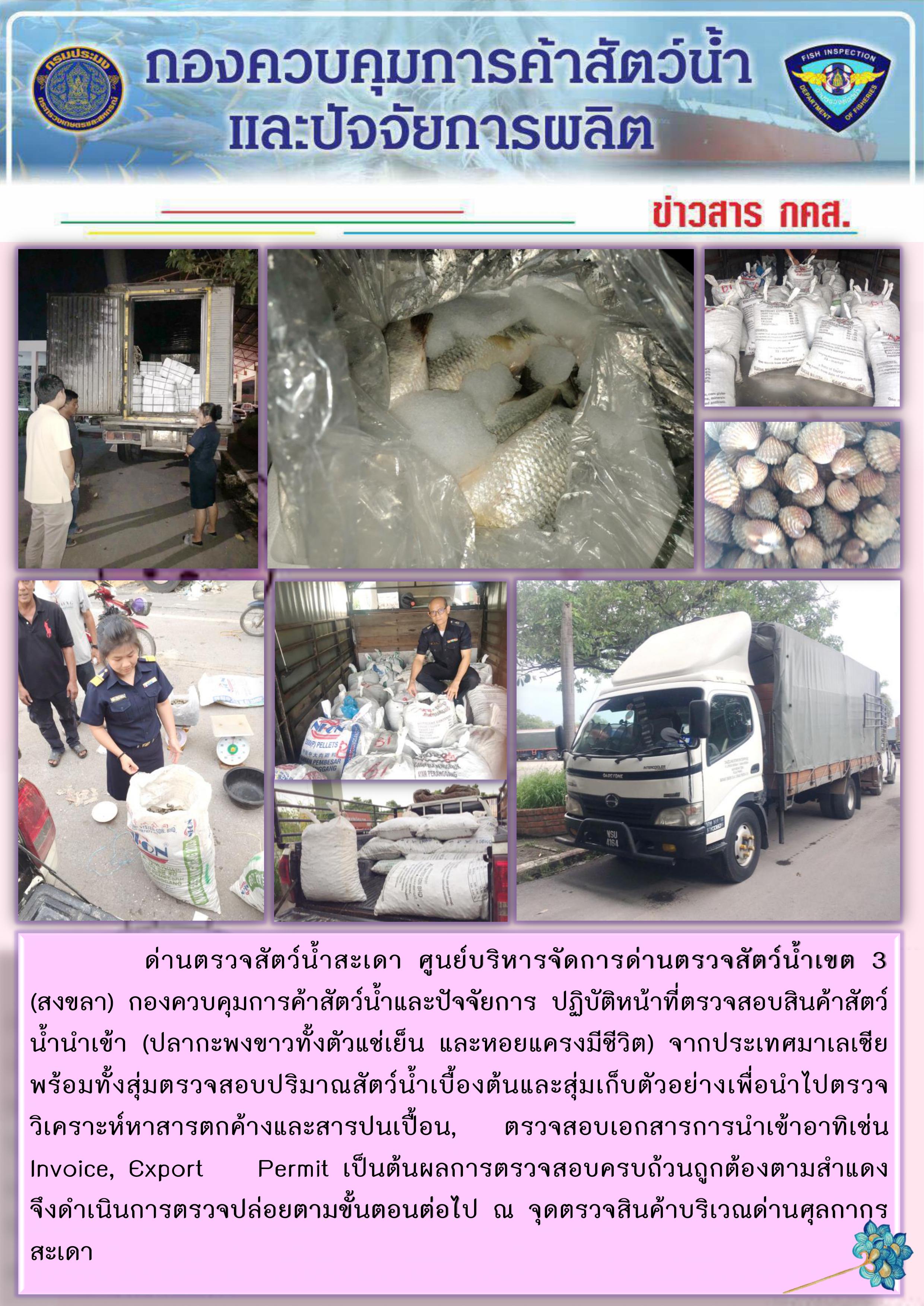 ข่าวสาร กคส. ประจำวันอังคารที่ 8 ตุลาคม 2562..คลิก