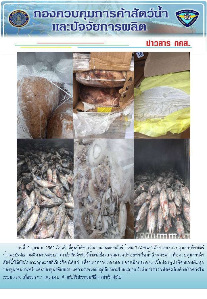เจ้าหน้าที่ศูนย์บริหารจัดการด่านตรวจสัตว์น้ำเขต 3 (สงขลา) สังกัดกองควบคุมการค้าสัตว์น้ำและปัจจัยการผลิต ตรวจสอบการนำเข้าสินค้าสัตว์น้ำประเภทตู้คอนเทนเนอร์ ณ จุดตรวจปล่อยท่าเรือน้ำลึกสงขลา..คลิก