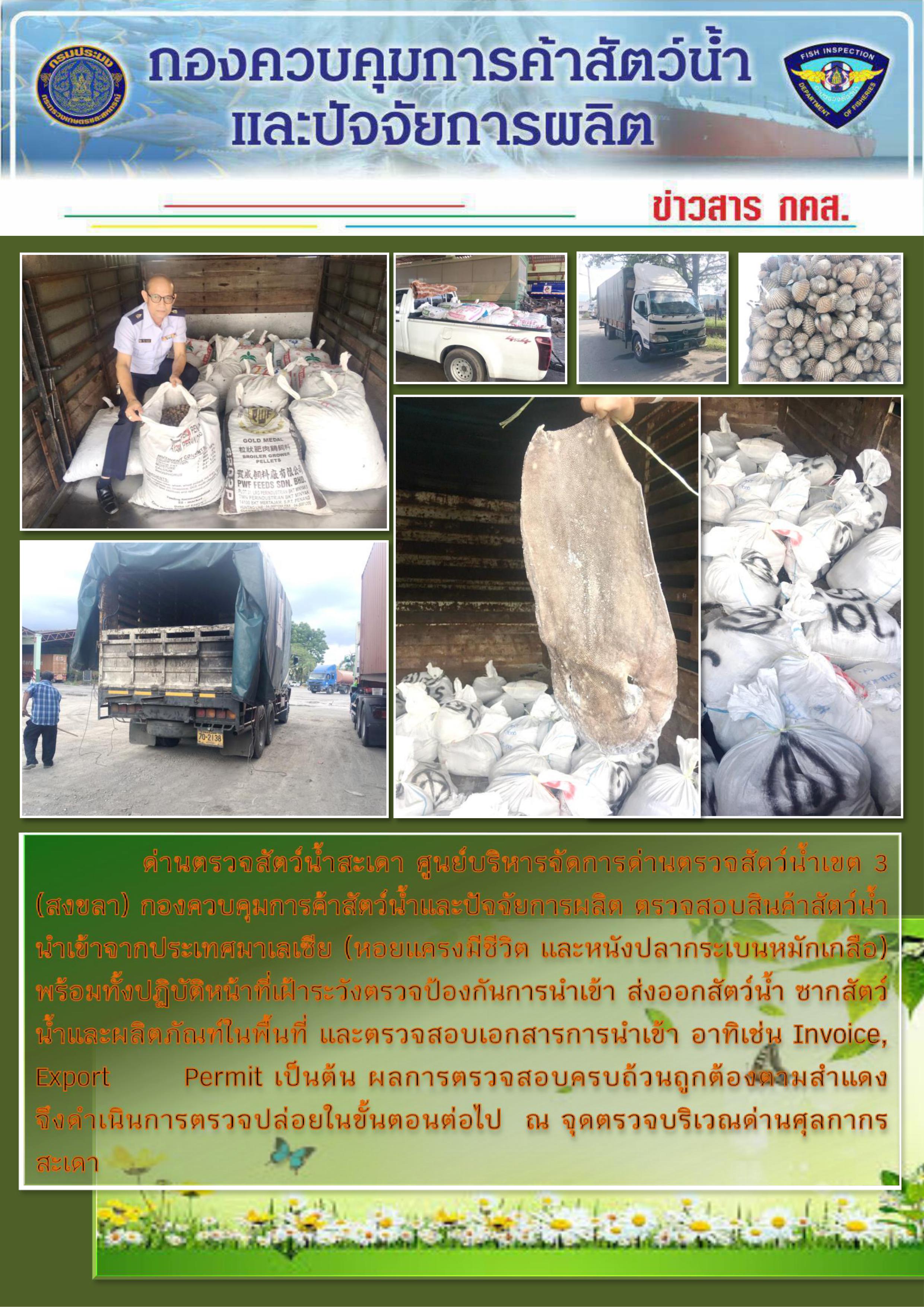 ข่าวสาร กคส. ประจำวันพุธที่ 9 ตุลาคม 2562..คลิก